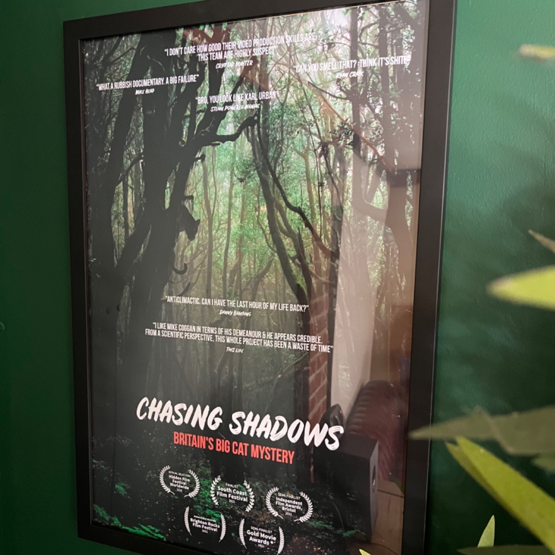 Our final poster has arrived for the office. Zoom in to the photo to see the fantastic reviews 🙃 #filmmaking #britishdocumentary #filmposter #dorset