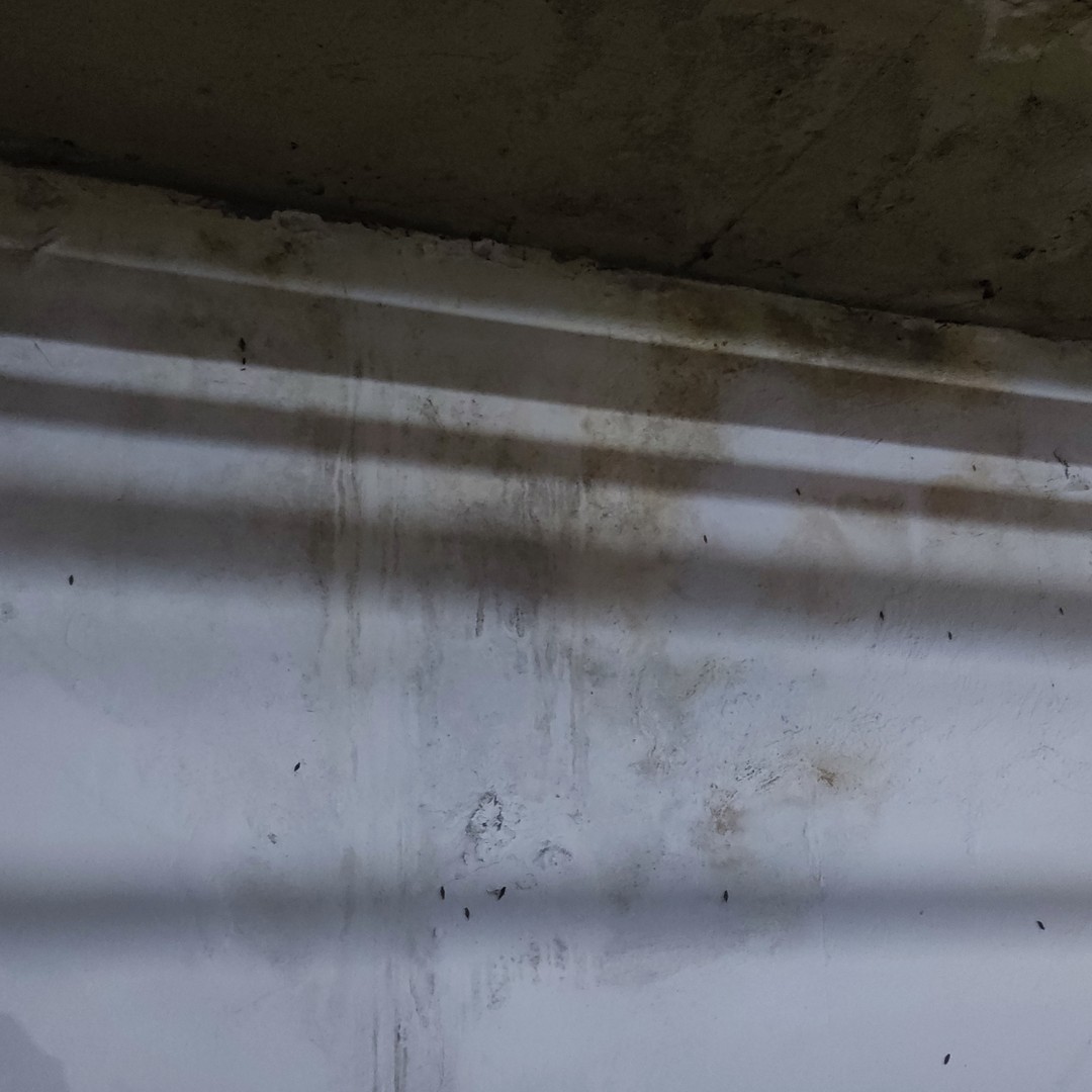 Infiltração em cortina!
.
#engenhariacivil #manutençãopredial