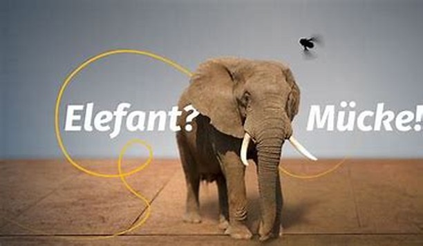 Angst???
Eine total normale Reaktion auf Gefahr!
Manchmal macht unser Gehirn aber auch aus einer Mücke einen Elefanten!
Ich habe mir in meiner Angstzeit zum Beispiel aus jedem kleinsten Symptom eine schwere Krankheit gemacht..
Möchtest du deine Angst und den Umgang damit besser kennenlernen?
Melde dich unter: https://www.ruheanker.ch/