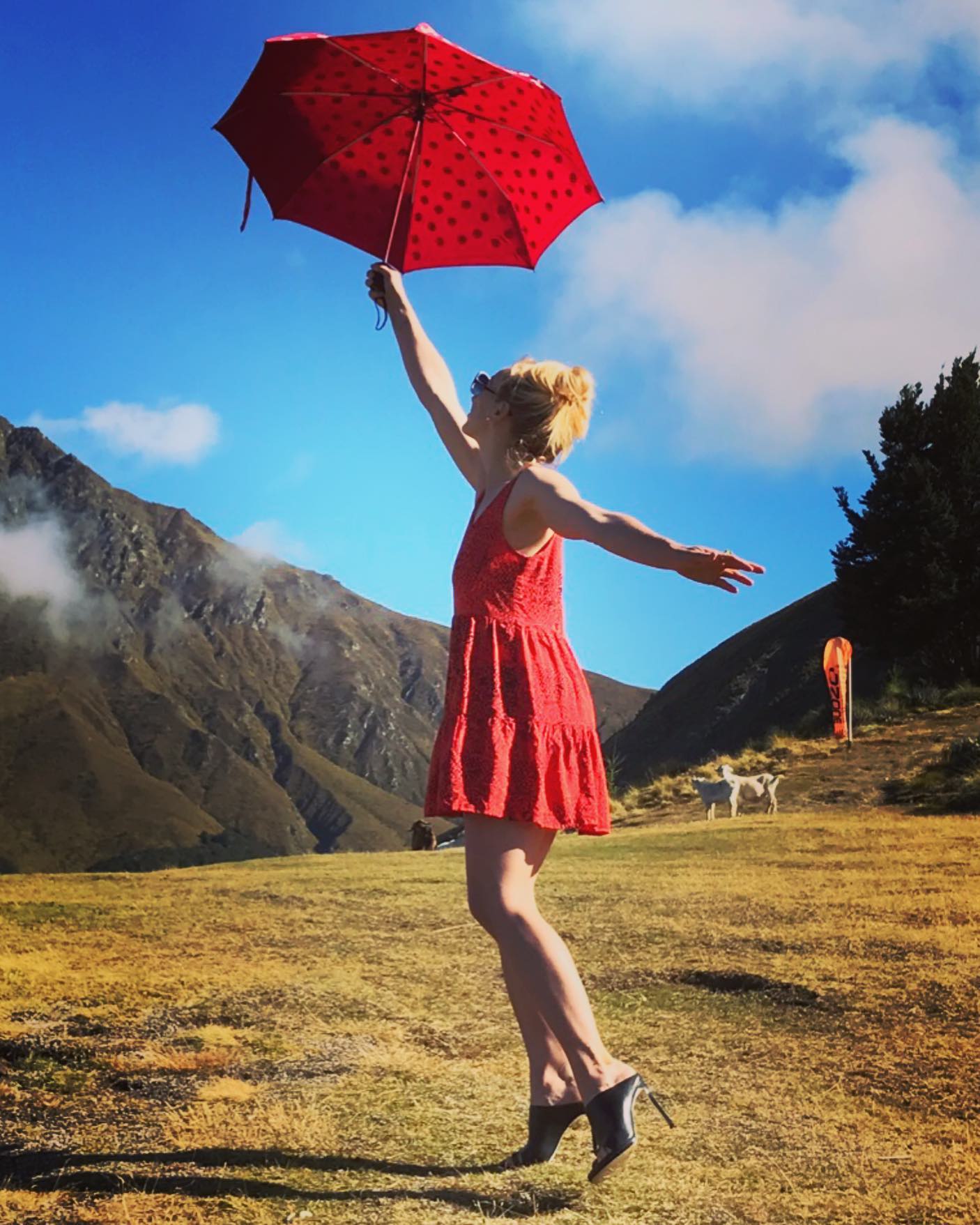Monday’s are for flying high - whether by #brolly, by #heli, or by #peterpan #style #happythoughts... ♥️
☂️🚁💭
#lifeiswhatwemakeit #notethegoat(s)