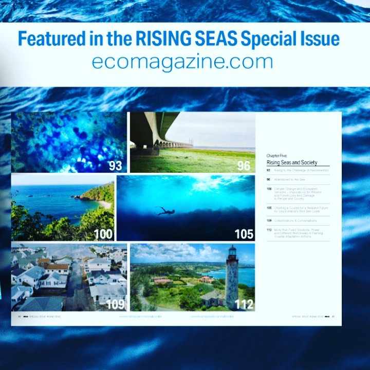 Featuring in the latest digital special edition on Rising Seas by ECO magazine - Rising to the challenge of reconnection including digital version of #catchingawave by @c_tarquini and @studiocrtq
Link to bio 🌊🌊🌊🌊🌊
#notjustaprettywave #reconnecting #collaborations #coasts #oceans #artscience #catchingawave