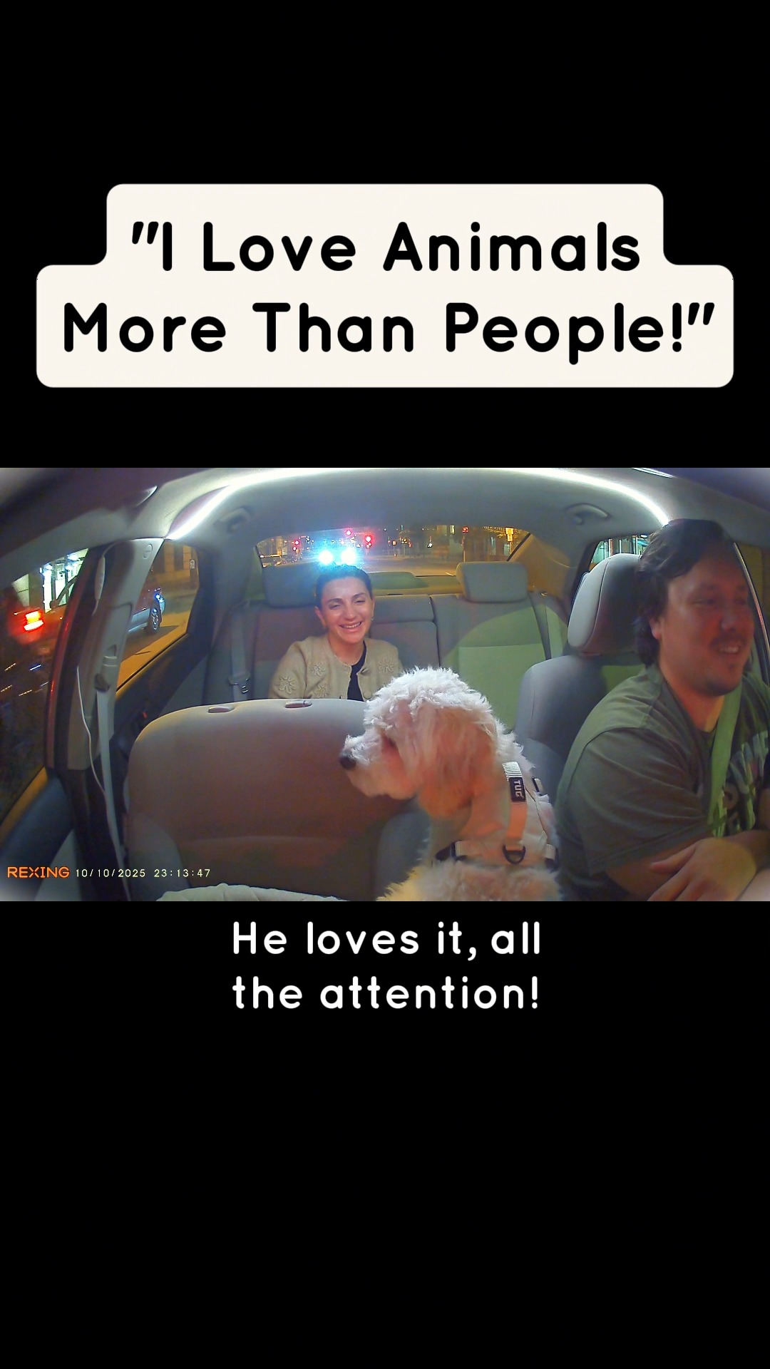 Who else loves animals more than people?
#ridewithmarshmallow #thelyftpuppy #dogsofinstagram #cavachon #minnesota