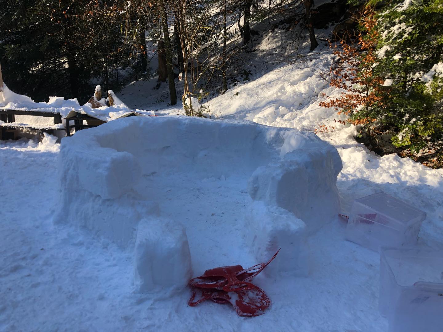 Heutiges Projekt: Iglu bauen ❄️✨