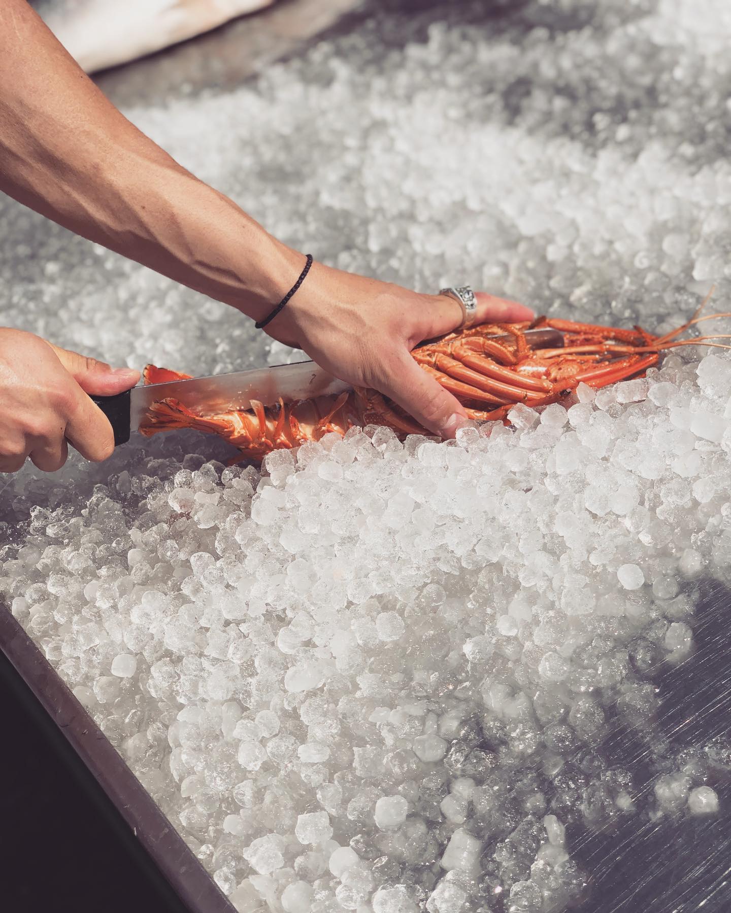 Cray’s being shipped from South Australia and W.A ready for this Christmas. We love this time of year, Xmas pre orders now open✌️ #christmas #crayfish