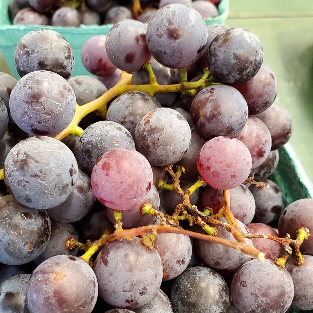 Fresh grapes π
Get 'em while they last!