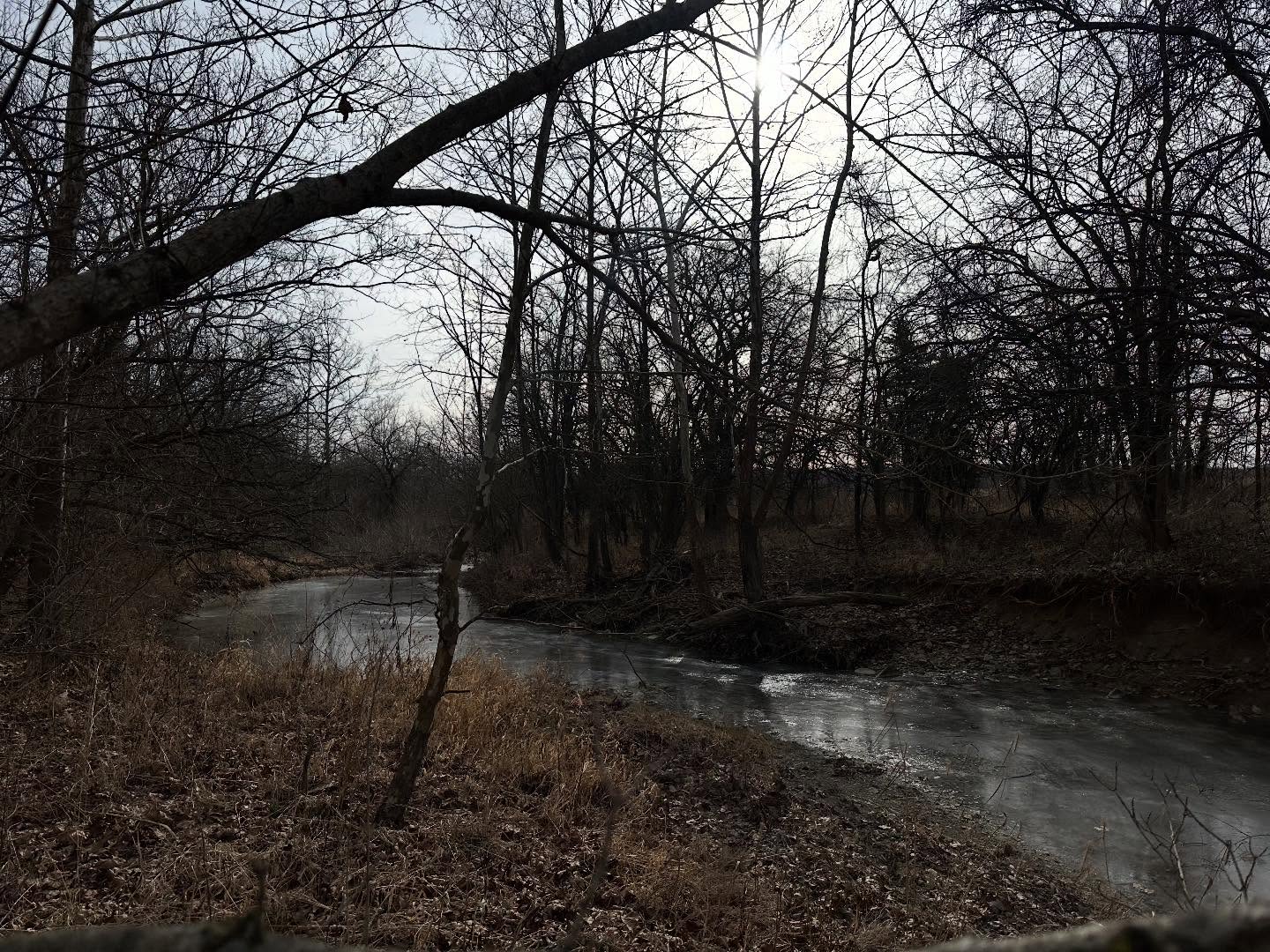 We can’t wait to share some exciting new developments coming soon to the field center! 🌳🪵 More ways to explore coming this spring! Stay tuned 🤫 #uc #fieldcenter #nature #somethingnewiscoming
