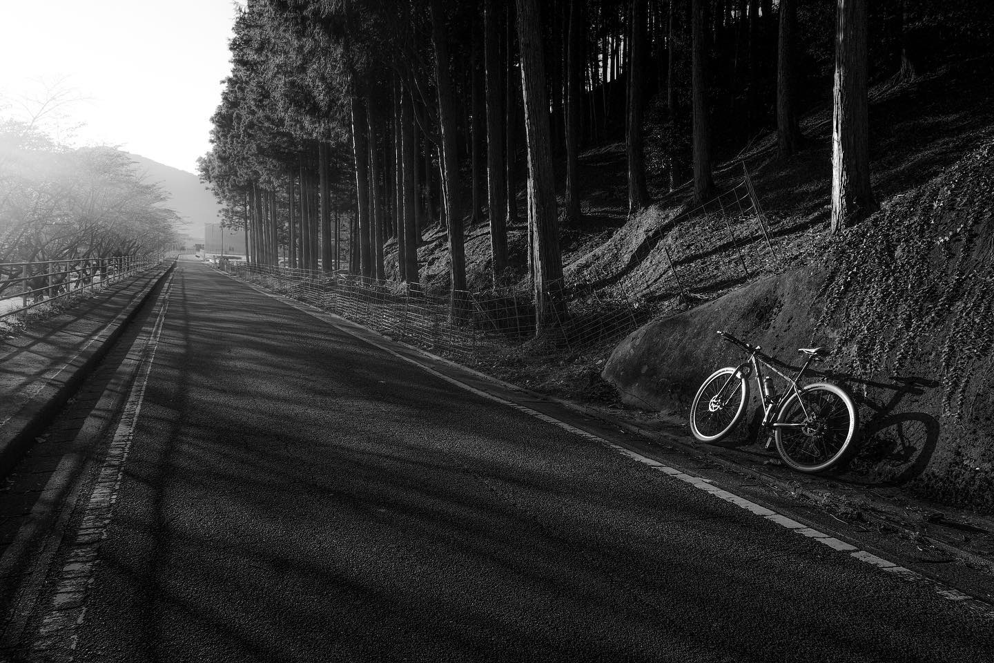 morning ride chromoly
#chromolyframe #fujifilm #xpro2 #morningride #7artisans #surlybikes #29er #fukuokanakagawa #blackandwhite#black&white#filmcamara#filmart#picoftheday#art#style#nikon#tamron#cinestill##bird#monochrome#monochromefhotograph#A black-and-white photograph#quietlife#bnw_magazine #bnwphotography#mtb