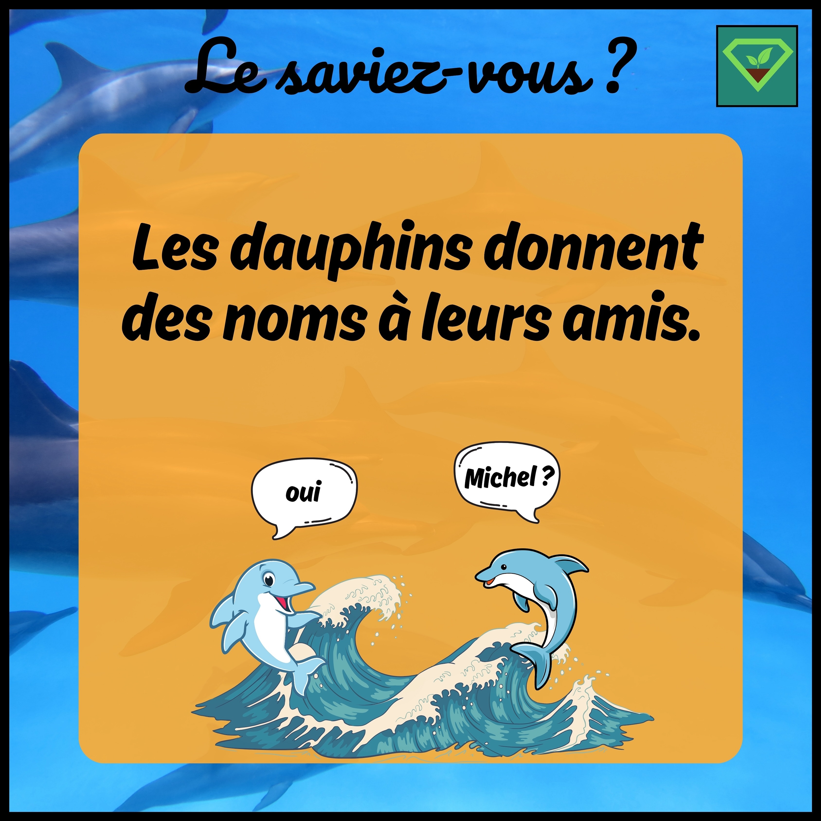 🐬🐬 Les dauphins donnent des noms à leurs amis: Ils utilisent des sifflements uniques pour s’identifier et appeler les autres, ce qui est considéré comme une forme de signature sonore. ?
#savoir#histoire#insolite#lesaviezvous#greenisyou#funfact#info#culturegenerale#dauphin#nom#sifflement#naturelife