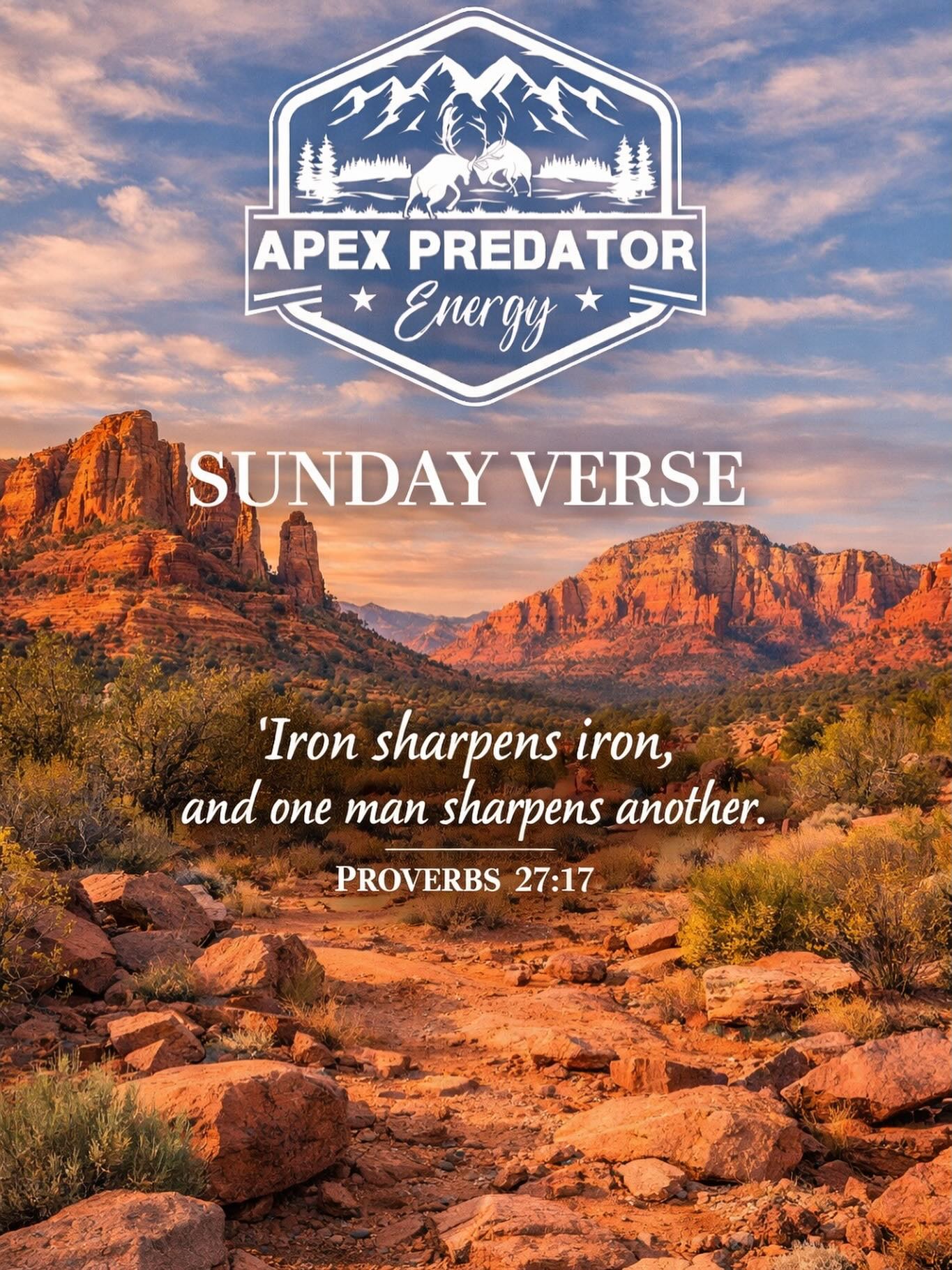 Stay the course. Earn the edge.
Proverbs 27:17
#apexpredatorenergy #sundayverse