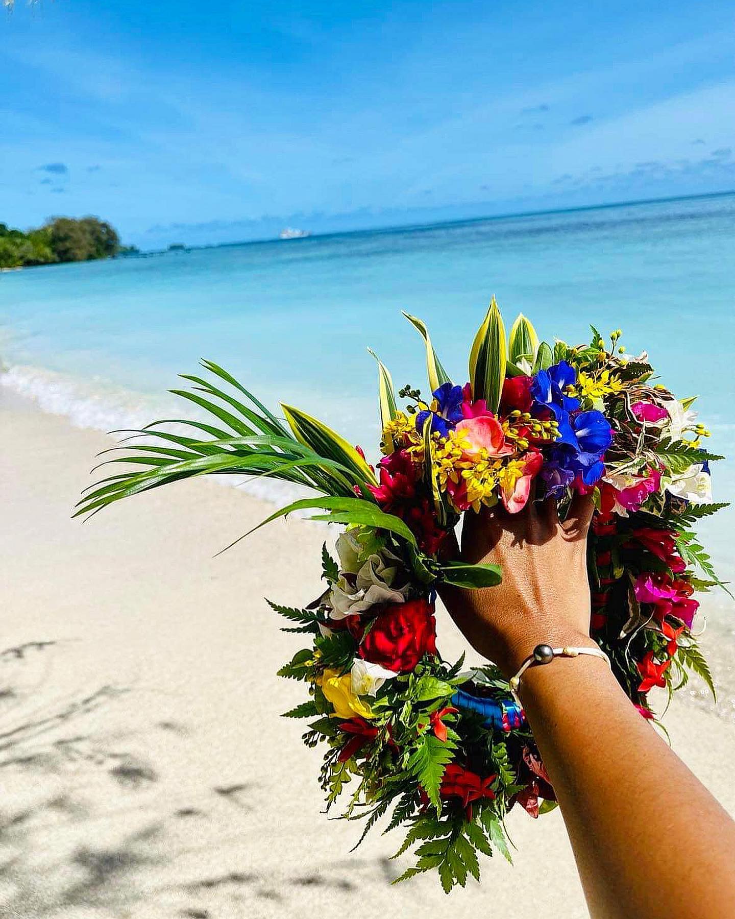 Let your dreams bloom.