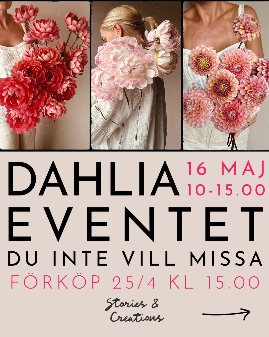 -Dahlia event 16/5 på @ekolsundsslott kl 10-15
Ekolsunds slottsallé 1, 749 50 Ekolsund
-Förköp av dahlior via vår hemsida 25/4 kl 15.00
Hemsidan kommer lanseras inom kort och där kan ni spana in alla våra tillgängliga sorter som förköps och sedan hämtas upp på eventet den 16/5
Alla plantor kommer kosta 199:-
På plats på eventet blir det härligt mingel, möjlighet att köpa fika och vi vill gärna höra om era favoritdahlior och vad ni skulle önska att få köpa i framtiden 🌸
Det kommer finnas extra plantor till försäljning på plats och det blir give aways av några plantor, man deltar med sitt ordernummer 🥰
På plats kan man betala med swish eller kort
Vi ses i vår 💕
#storiesandcreations #dahliadesire #dahlia #dahliasofinstagram #unicorndahlia