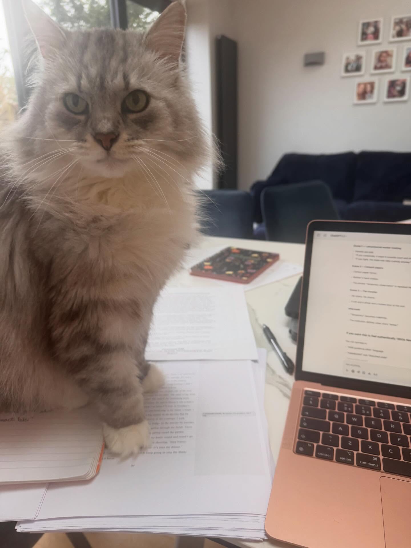 Mum, what are you doing? Research for my novel, son✍️ #amwriting #novelwriting 📚