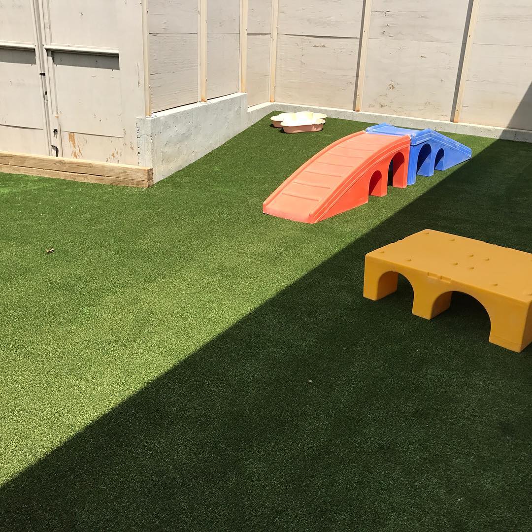 Playtime just got an upgrade! 🐶✨ Our premium turf at Bark and Board, Brookhaven, is the perfect spot for pups to run, jump, and have a blast. Who’s ready for some tail-wagging fun? 🐾
#UltimateTurf #DogPlayground #HappyPups#petturf