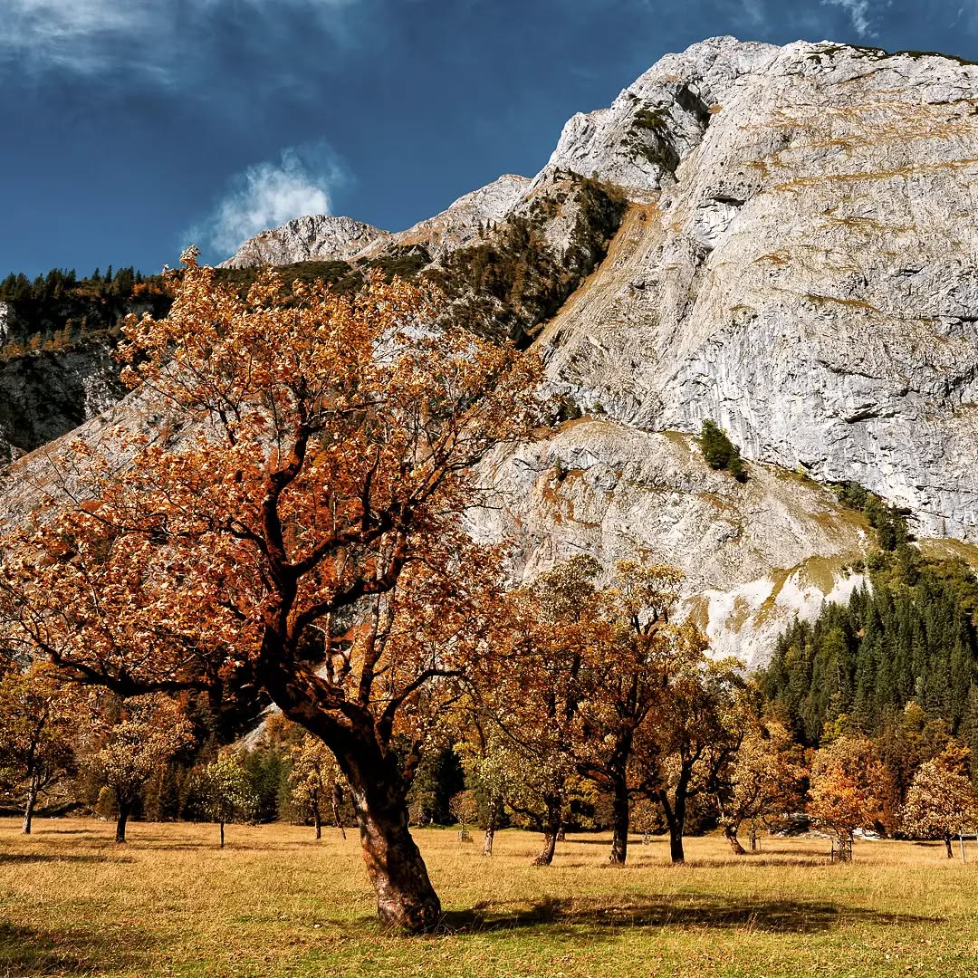 Indian Summer
.
.
.
.
#fujixseries #fujigfx50s #fujifilm #fujigfx #fujigf3264 #fujifilmde #fujifilmfeaturetime #tirol #austria #karwendel #fineart #fineartphotography #fineart_landscape #finearts #fineartphotographer #wald # forrest #fineartist #fineartphoto #licht #light #eng #natur #nature #fujifilm_global #mediumformat #ishootfujifilm #bhop_photography