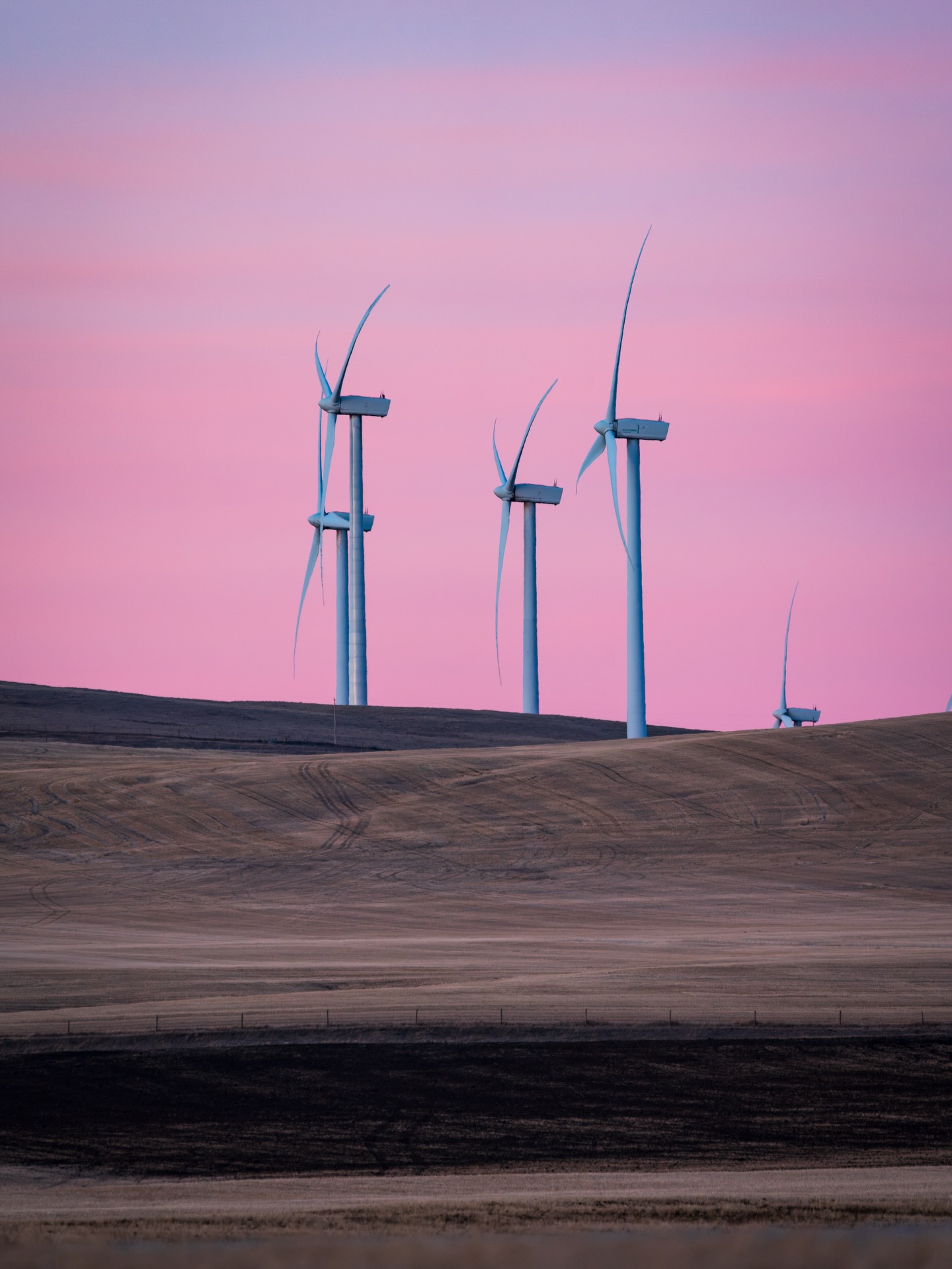 Alberta skies don’t disappoint! Note: This is one of the windiest places in the province.
#alberta #sonyalpha #canada