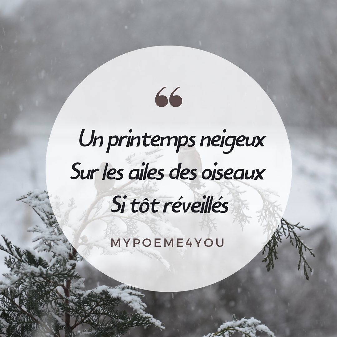 Un printemps neigeux
Sur les ailes des oiseaux
Si tôt réveillés
@mypoeme4you
#mypoeme4you
#mypoem4you
#poesies #poesie #poemes #poeme #haikulover #auteur #auteure #ecrits #ecriture #haijin #senryû #hesdin #writersofinstagram #auteurinstagram #authorsofinstagram #recueilhaiku #haikufrancais #basho #neige❄️ #oiseauxdefrance #hesdin