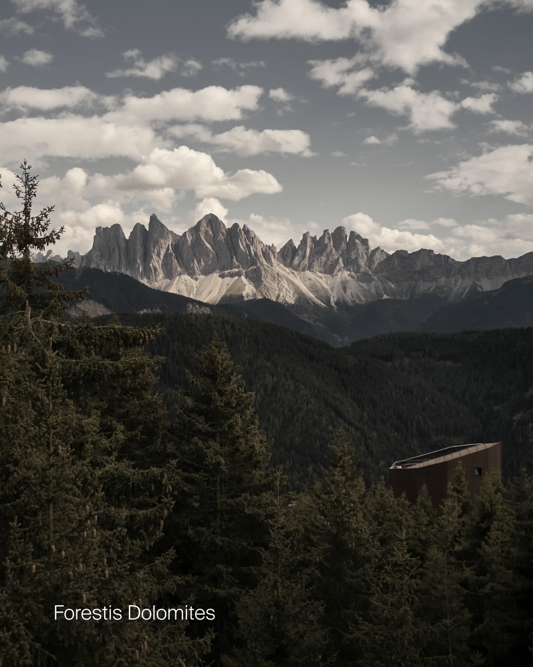 Forestis is chosen by those who value silence, architectural honesty, and depth of experience. A hotel that does not seek to impress at first glance. Designed to endure.
UNIQUE LUXURY TRAVEL recommends Forestis Dolomites with confidence — a place where reduction is intentional, architecture is sincere, and wellbeing is rooted in landscape rather than trends.
—
#UniqueLuxuryTravel #AlpineWellbeing #forestis #dolomites #beautifulhotels
Images: @forestis.dolomites