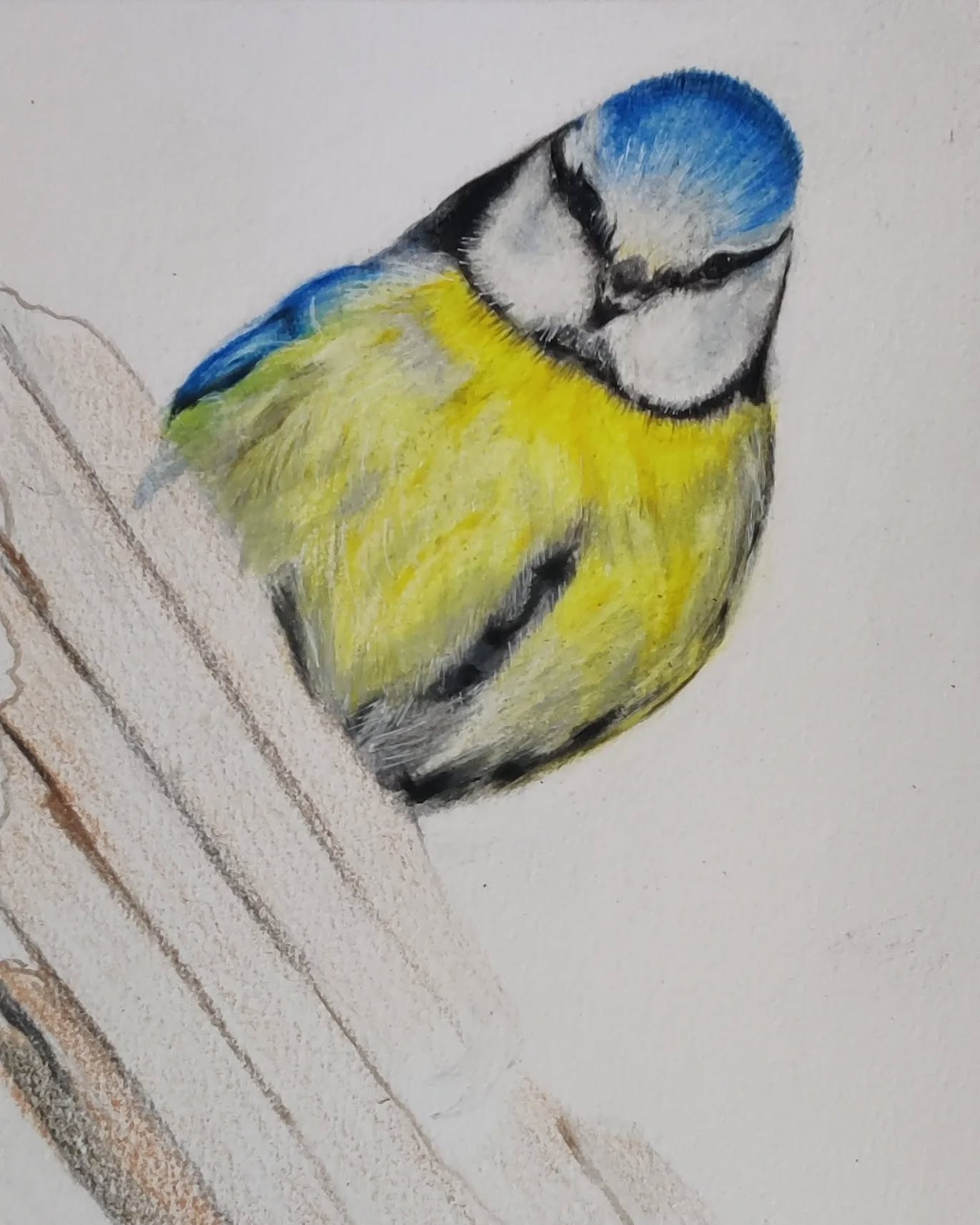 Hello all, heres a commission in currently working on , will be a birthday present from my customer to her daughter........she's not on Instagram so won't see it beforehand 😉
Please DM me with any commission enquiries or visit my website www.Jeanhartcommissionedart