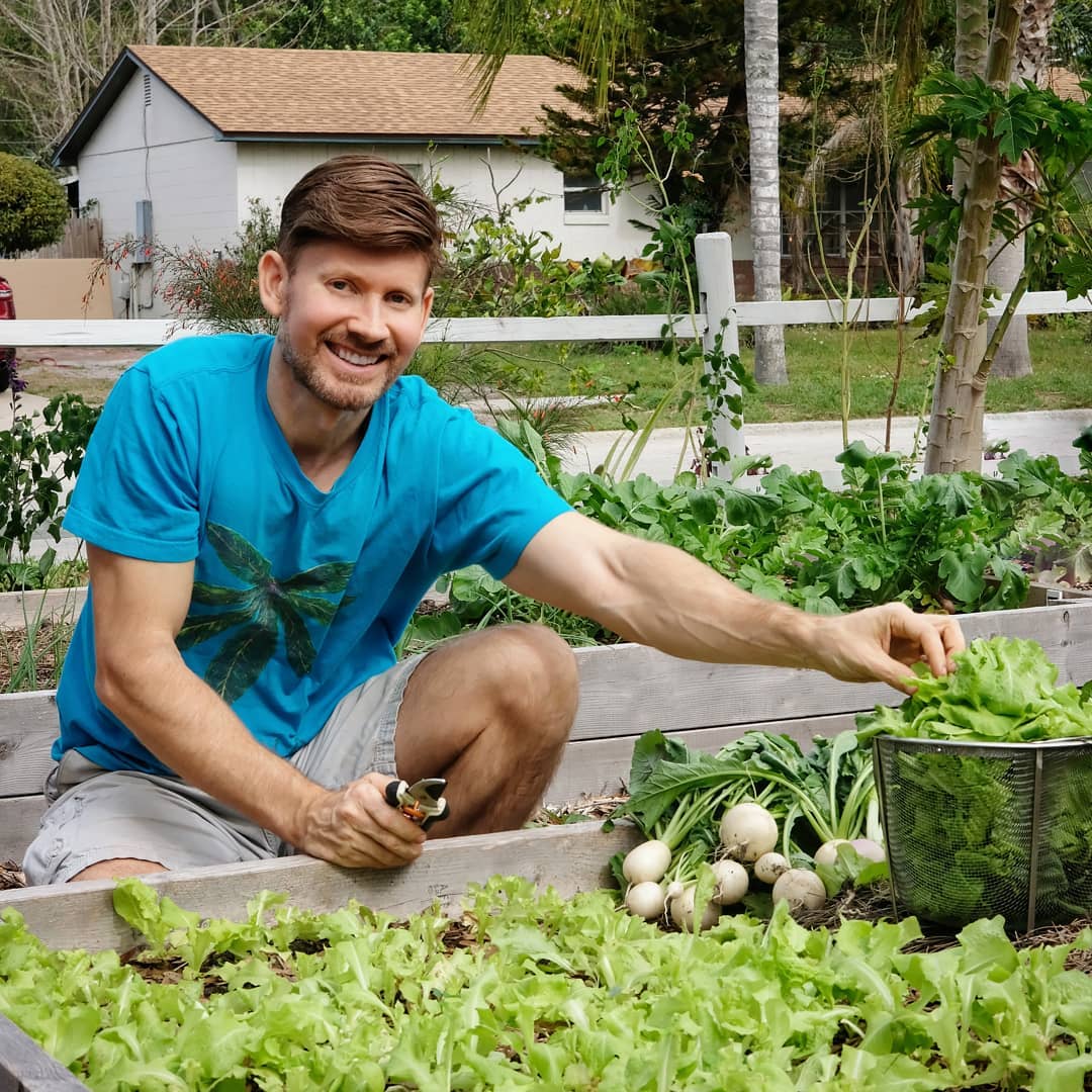 This is one time of year when I have the most fun working and harvesting from my garden. In addition to the perrenial greens that grow year round, I also have annual favorites growing like Hakurei turnip, Black Seeded Simpson lettuce, Georgia Collards, Daikon radish and Jade bush beans. The more I read about e.coli lettuce scares, the forever chemicals PFAs found in irrigation water, and toxic biosolids being applied to crops, I feel safer having a close personal relationship with my food. #permaculture #naturalfarming #hakurai #foodforest #foodnotlawns #organicgardening #organic #regenerativefarming