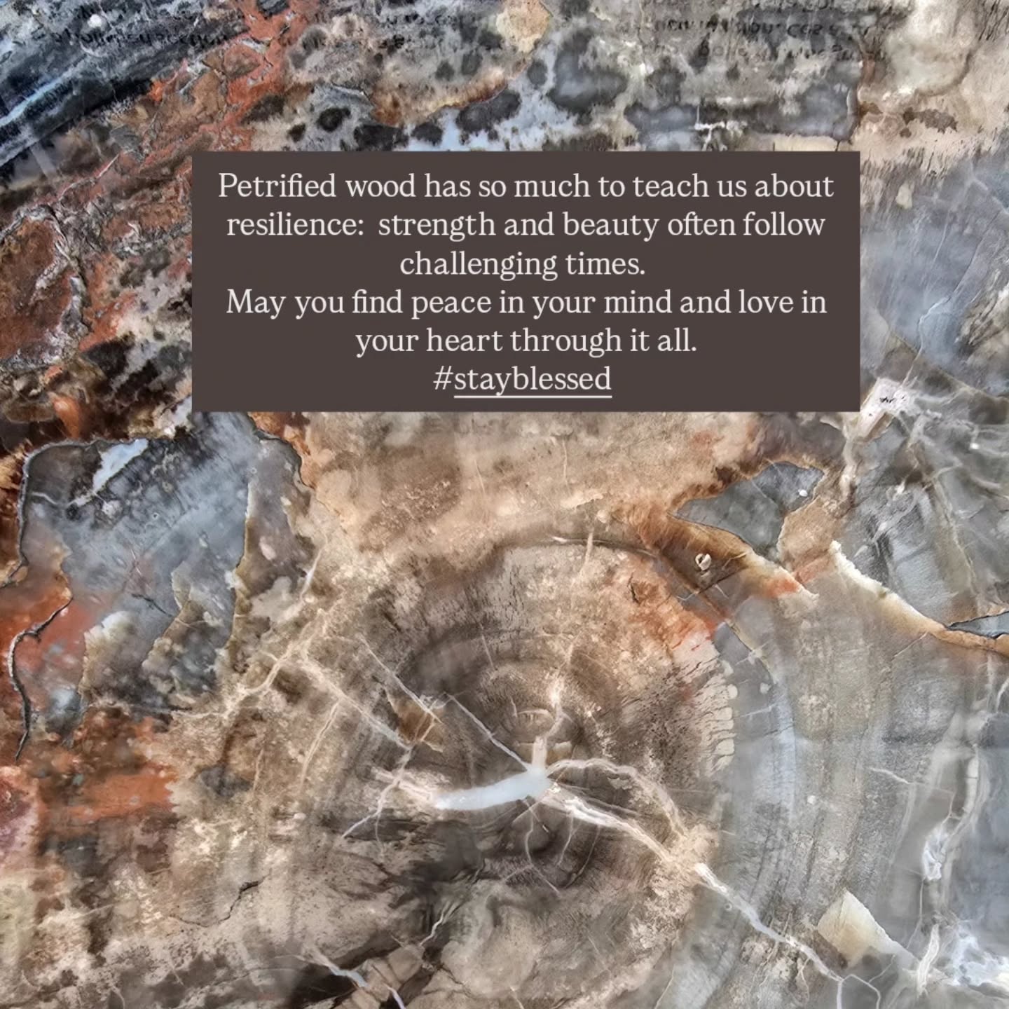 We can often speak the same language but live in different realities.
True progress isn't just about better rules; it’s about narrowing the gap between our lived experiences.
It is hard to combine worlds—worlds where words like security, hope, and humanity are so essentially misunderstood among populations that can't even fathom the reality of another.
We live in a time where rules are supposed to provide the structure for progress and peace, yet so often they are twisted to create chaos for alternate agendas.
Quite a few examples of that happening in the world right now.
When that chaos hits, everything loses stability.
We lose the necessary certainty and safety that are essential for trust, dignity, and coexistence—and without those, there is no room left for human flourishing.
The worlds resilience is being tested and human nature will keep building, believing and progressing towards either a path of destruction or creation.
But it can only be done with unity, intergity, courage and compassion.
The road is long and winding, its important to manage energy, intent and perspective.
Mind your mind and heart. Be kind and mindful of your words, so many are living through difficult times.
#humanity #empathy #perspective #intention #bekind