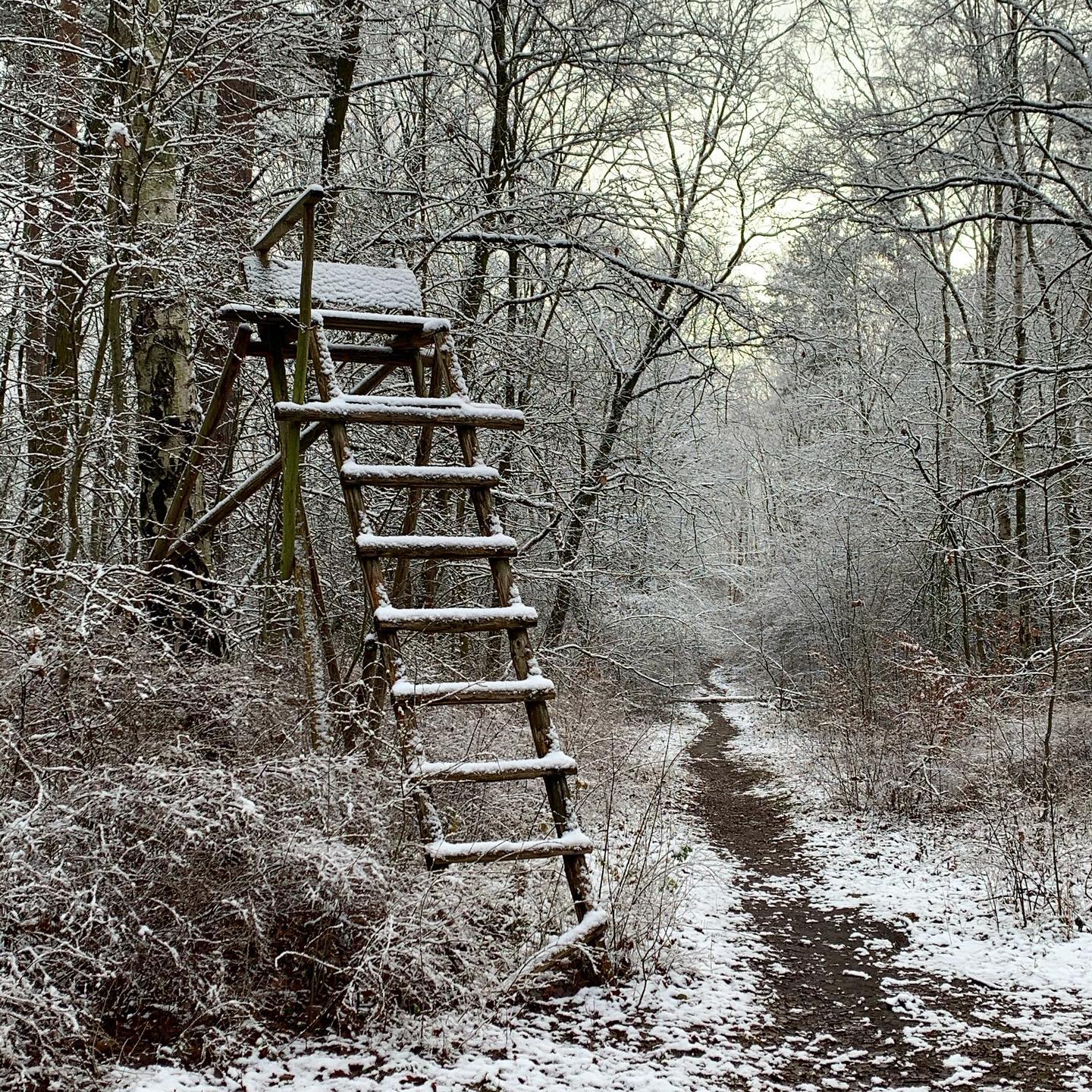 1 - Auf der Jagd nach Erholung...oder auf Touris?