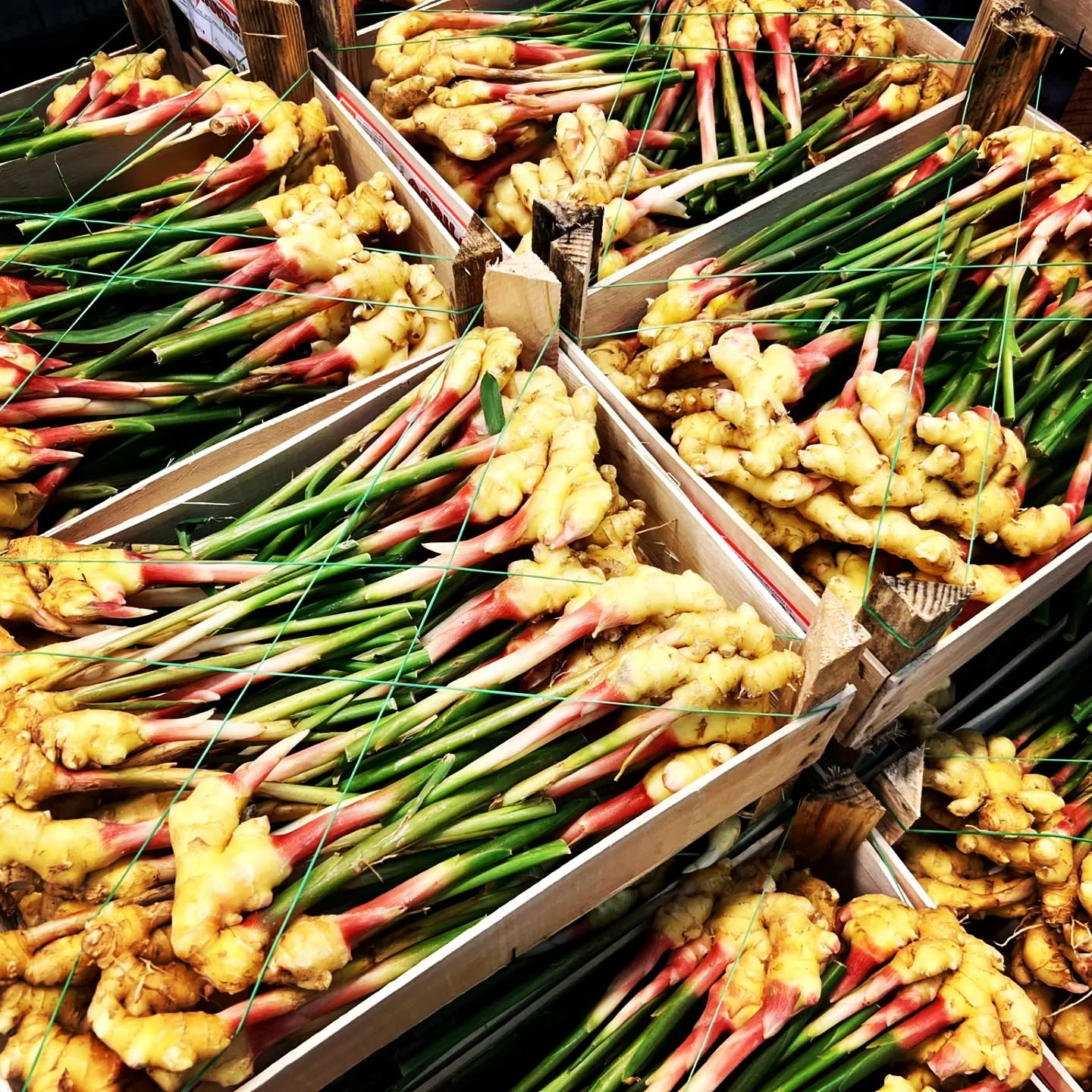 #ingwer #ginger #bio #demeter #healthylifestyle #fresh #italia