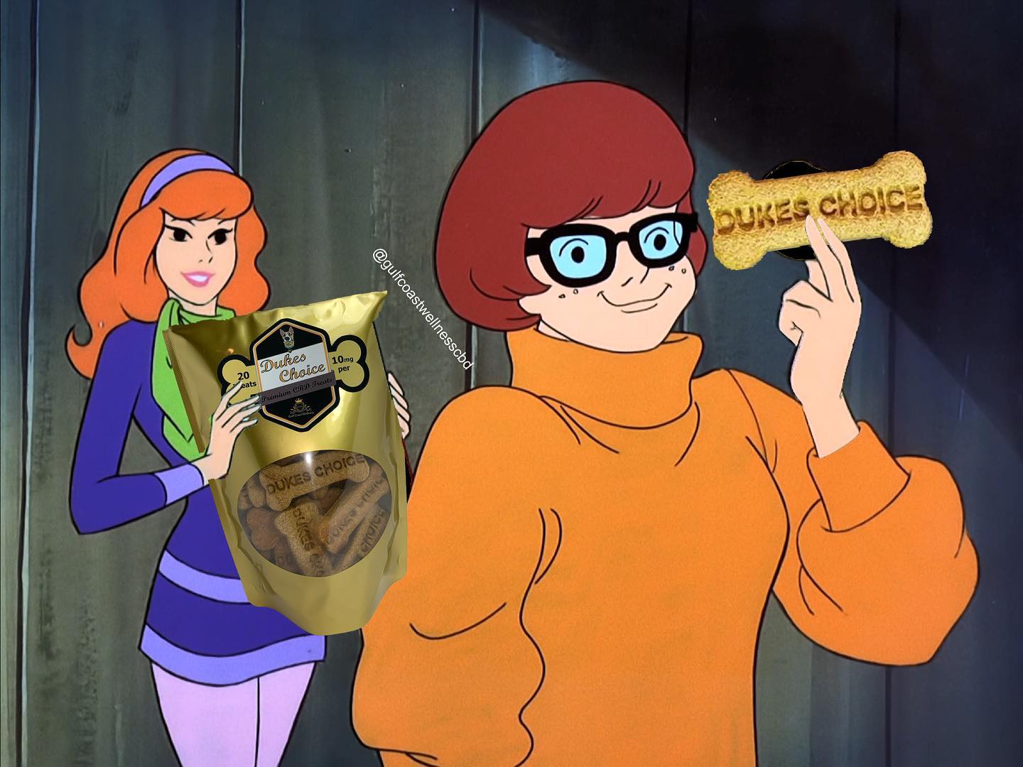 What would your dog do for a Duke’s Choice treat?
#scoobydoo #cbdmeme #cbd #dog #dogtreats #cbddogtreat #gcwcbd #spooky #theduke #dogsofig