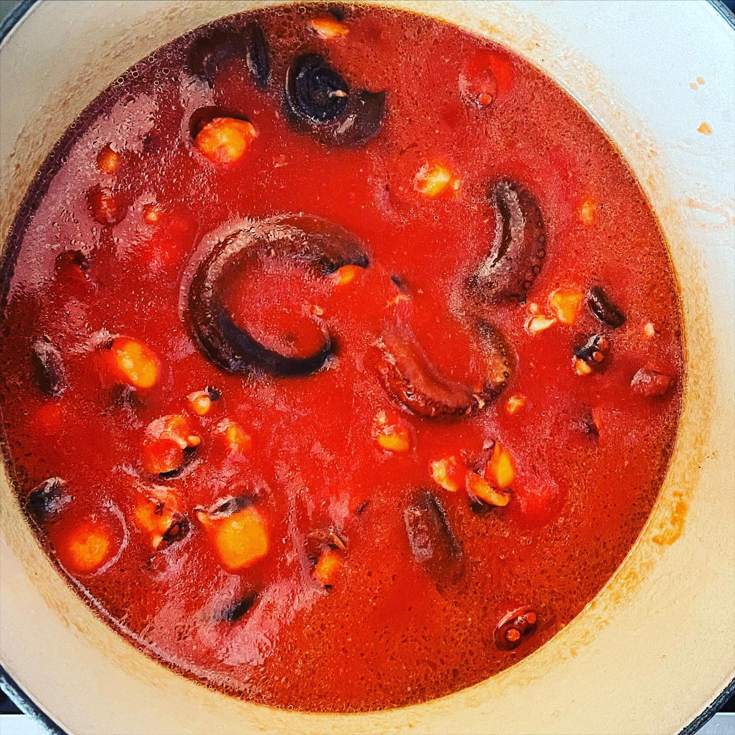 Sunday: Ragù di Polpo… 🐙 #polpo #octopus #octopus🐙 #octopusragu #whenincalabria #calabria #calabriafood