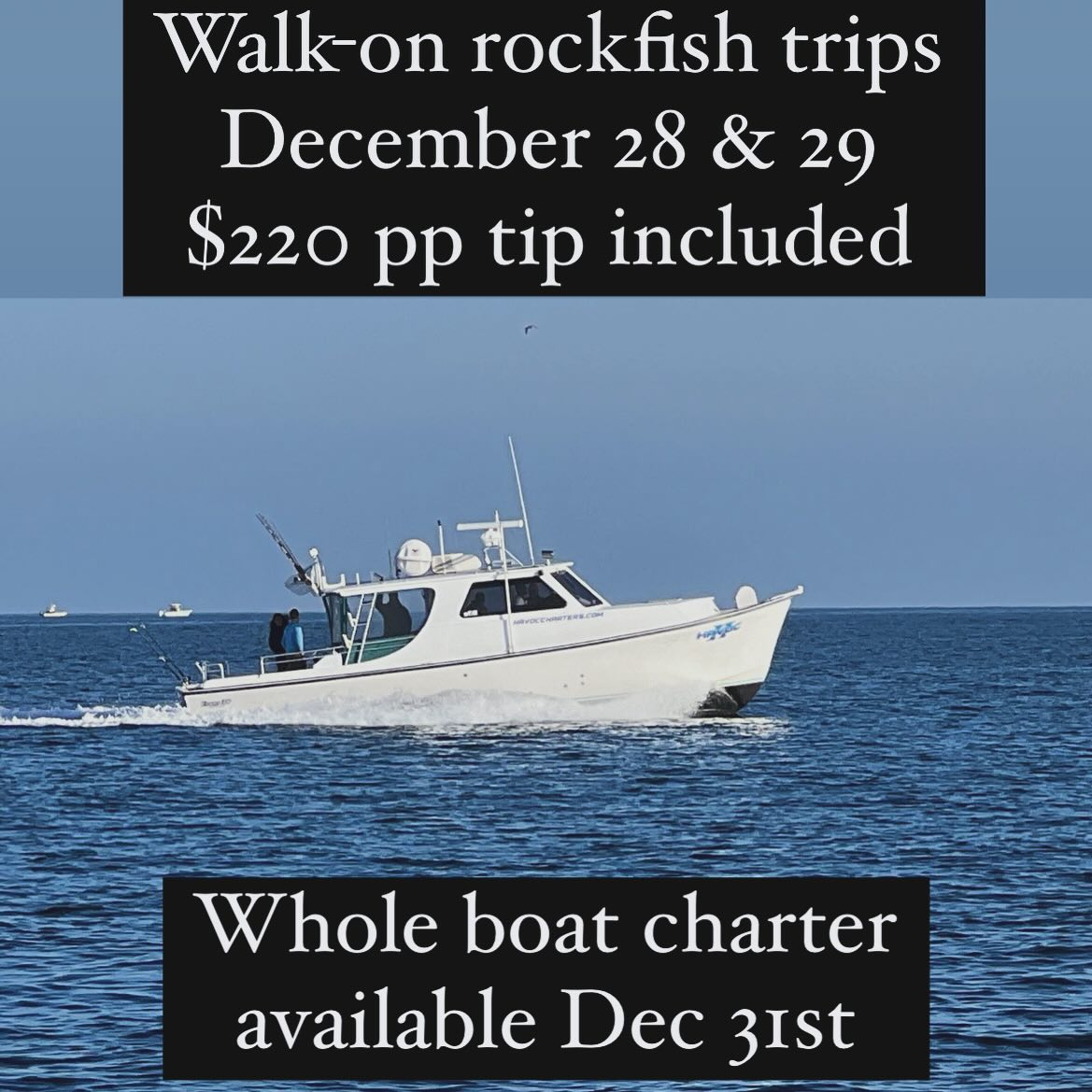 Come on while the getting is good! Chasing keepers and overslot citation fish. #havoccharters #rockfish #striper #stripedbass