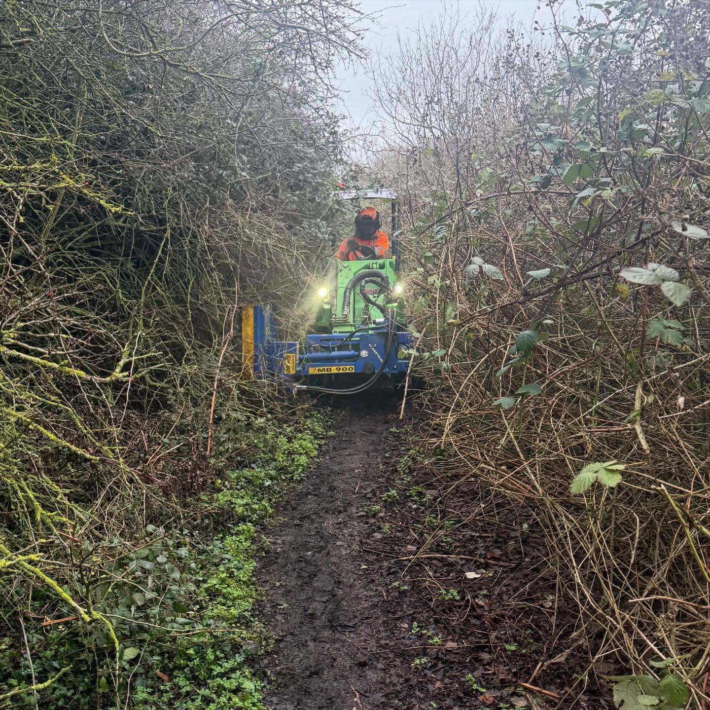 An impressive before and after to reinstate this very overgrown bridleway. A fantastic test for the new flail attachment, perfect for narrow access. 🌳 🐎 🌲 🍃 #amgroundmaintenance #norfolk #norfolkbusiness #arb #arborists
