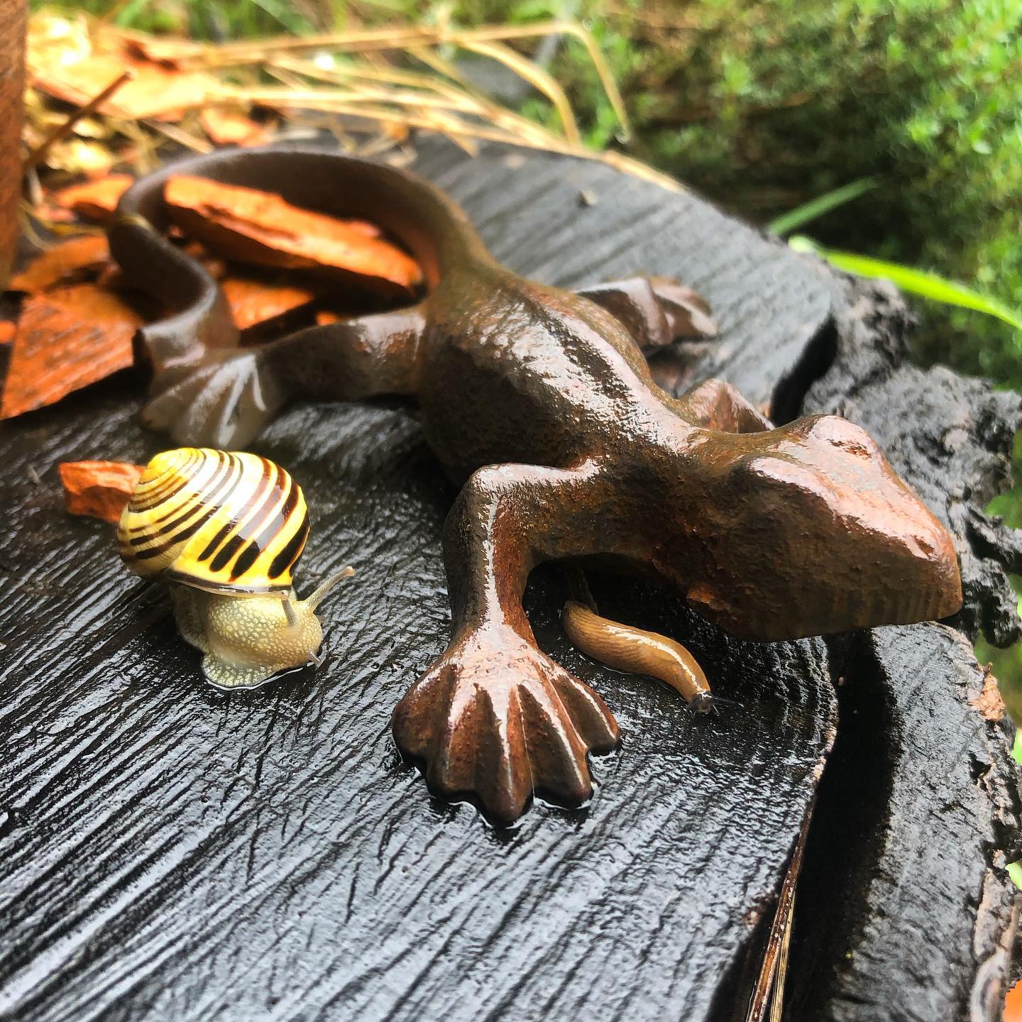 Was sich die Schnecken wohl gerade denken?
#hintergrabenbauer #ferienhof #biohof #urlaubinösterreich🇦🇹 #pyhrn_priel #pyhrnpriel #spitalampyhrn #urlaubambauernhof #urlaubambiobauernhof #bauernhofurlaub #bauernhof #biobauernhof #bauernhoftiere #bauernhofleben #ferienwohnung #ferienwohnungen #naturpur #bio
#bioausleidenschaft #bioaustriaoberoesterreich