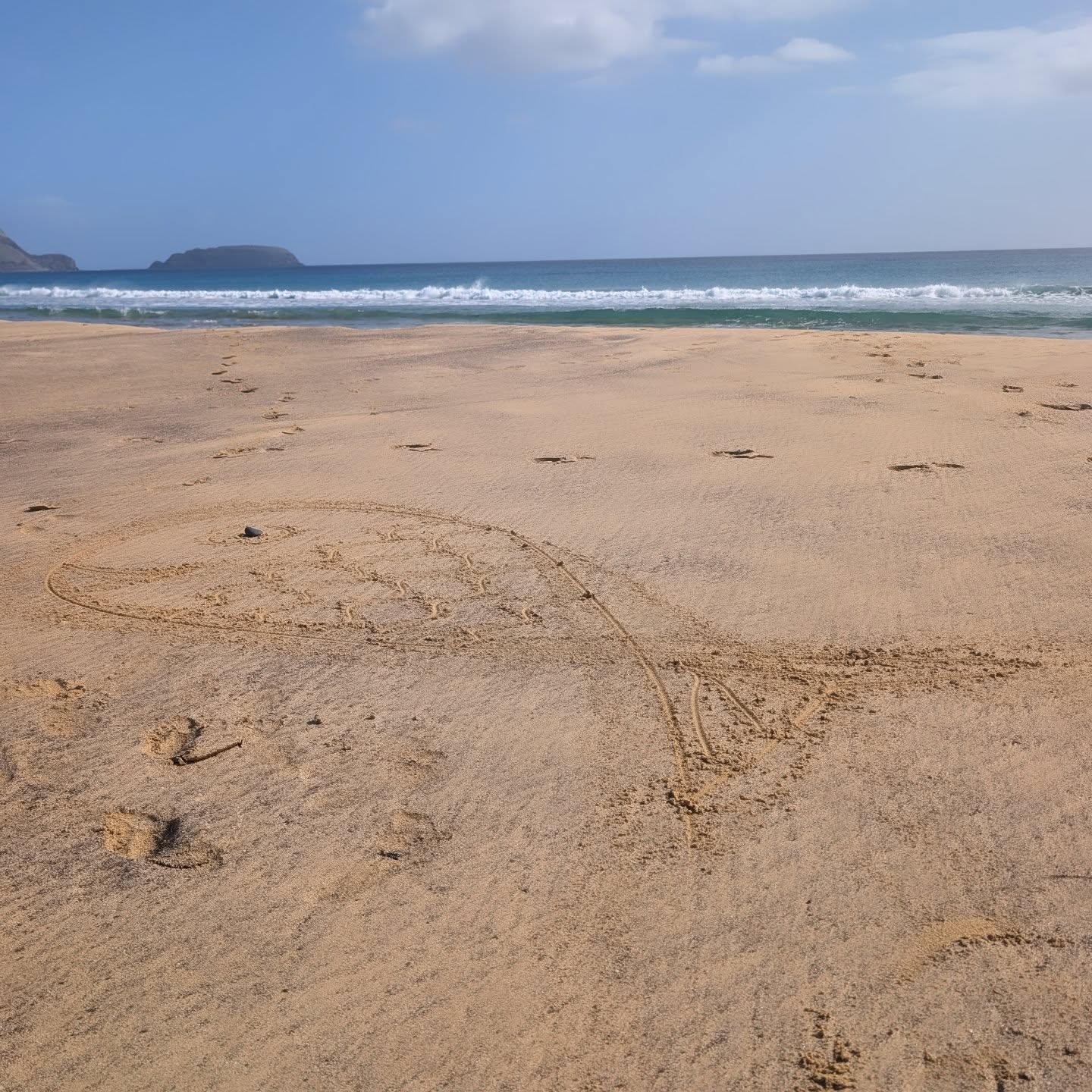 Plenty of fish in the sea ;) right outside @hotelportosanto
#howtoportosanto #praia #fish #ocean #portosantoisland❤️ #portosantoisland #portugal #portugal🇵🇹 #portosanto