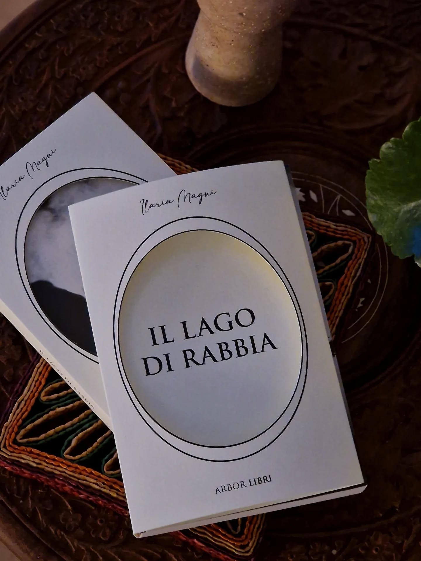 Quando @cristina.cassese e @ilariamagni83 mi hanno proposto di ospitare da @vedastudioroma il laboratorio sulla rabbia e la presentazione de 'Il Lago di Rabbia', primo romanzo di Ilaria per @arbor_libri ho fatto un grande salto di gioia!
In primis perché si parla ovunque di "trasformare la rabbia, sciogliere, perdonare" - che ok, è sensato - ma non si dice di esprimerla. Di andare alla ferita, la causa primaria. Di capire cosa c'è dentro, dietro, sotto quella rabbia. E allora, dopo, incanalarla.
Raramente un libro mi ha tenuta incollata per due giorni: Ilaria ha plasmato un incantesimo ipnotico di parole e immagini, che si fa strada lentamente nel cuore, intrecciando storie vissute e di fantasia che riecheggiano in ogni casa, via, paese, collina della Valle del Salto, dove decisiva è la presenza muta, ma perenne del Lago e delle fantasme che lo abitano.
L'intero libro è un rituale di iniziazione, che apre un varco tra passato/futuro, vita/morte e che dal fondo fangoso del lago fa riemergere ombre di dolore, disgusto, e rabbia - tanta rabbia - delle donne che da sempre subiscono limitazioni, violenze e soprusi, così come il Salto - il fiume bloccato per creare il lago - a cui non è più permesso di scorrere via in tutta la sua potenza.
La rabbia come acqua si accumula, ribolle, risucchia ogni cosa, ma quando viene ascoltata, vista e riconosciuta, quando finalmente si sente legittimata e accolta, allora da furia diventa combustile liquido prezioso, quello in grado di alimentare il processo alchemico trasformativo delle protagoniste femminili e di quelli maschili.
È così che vecchie e nuove generazioni si tengono per mano, risignificando le antiche tradizioni nel patto di cura con la terra e la comunità, come atto di responsabilità verso chi verrà dopo.
In questo mese di ricerca su Manipura Chakra, ho ripetuto spesso 'fai brillare la tua rabbia'.
La rabbia che brilla è la miccia che ci accende al punto tale da usare quella luce per far strada anche a chi quella luce non può averla. La rabbia urla, scalpita, distrugge e ci aiuta a capire cosa non funziona, cosa desideriamo, cosa è necessario.
E per questo va protetta.
Vuoi partecipare? 🔗 LINK IN BIO!