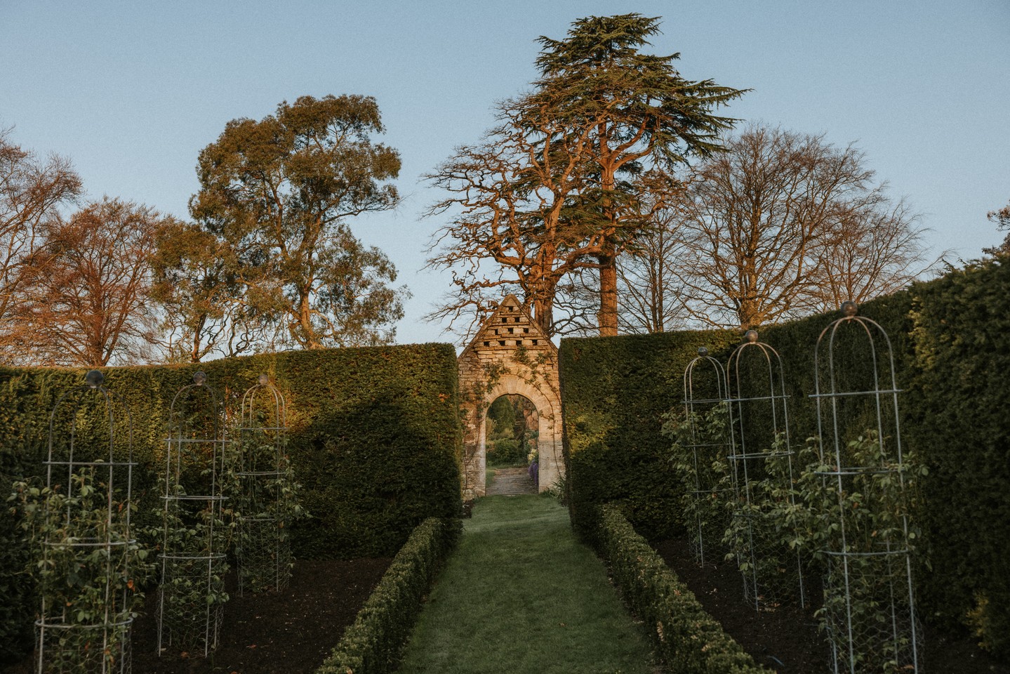 Blue Sky Winter mornings.