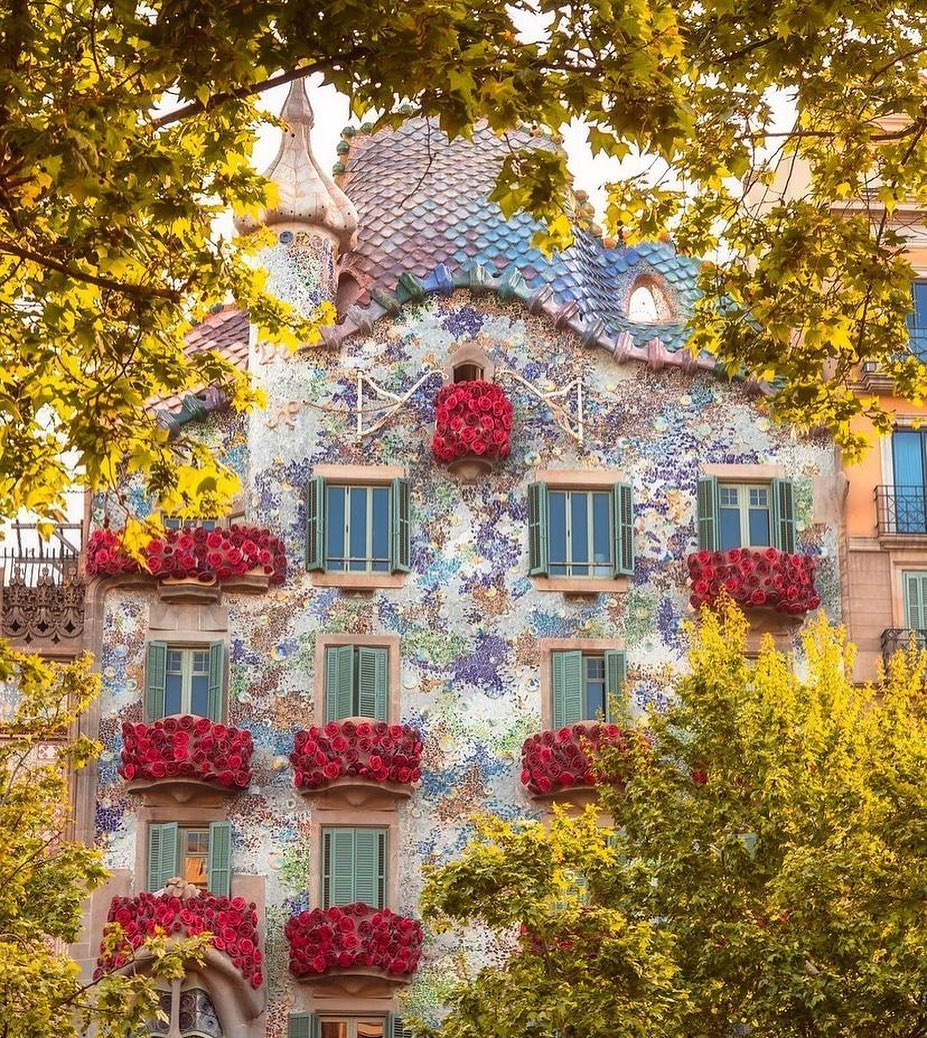 Feliç Sant Jordi! 🌹📚🐉✨