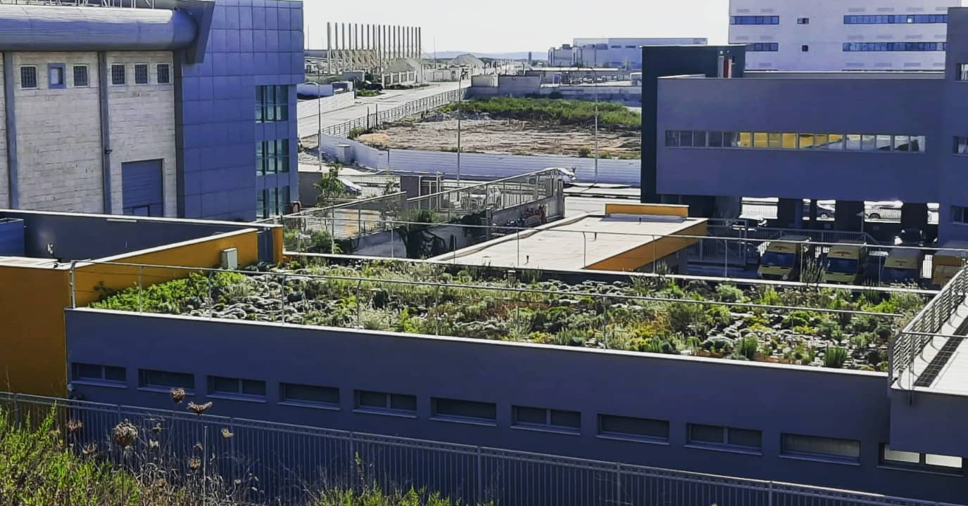 Winter?
#greenroof, #בנייןצומח, #bldveg, #גגירוק, #oikosteges, #גגצומח,, #dhlexpress, #israel, #greenroofpolicy, #greenroofs, #climatechange, #גגותירוקים
@dhlexpress