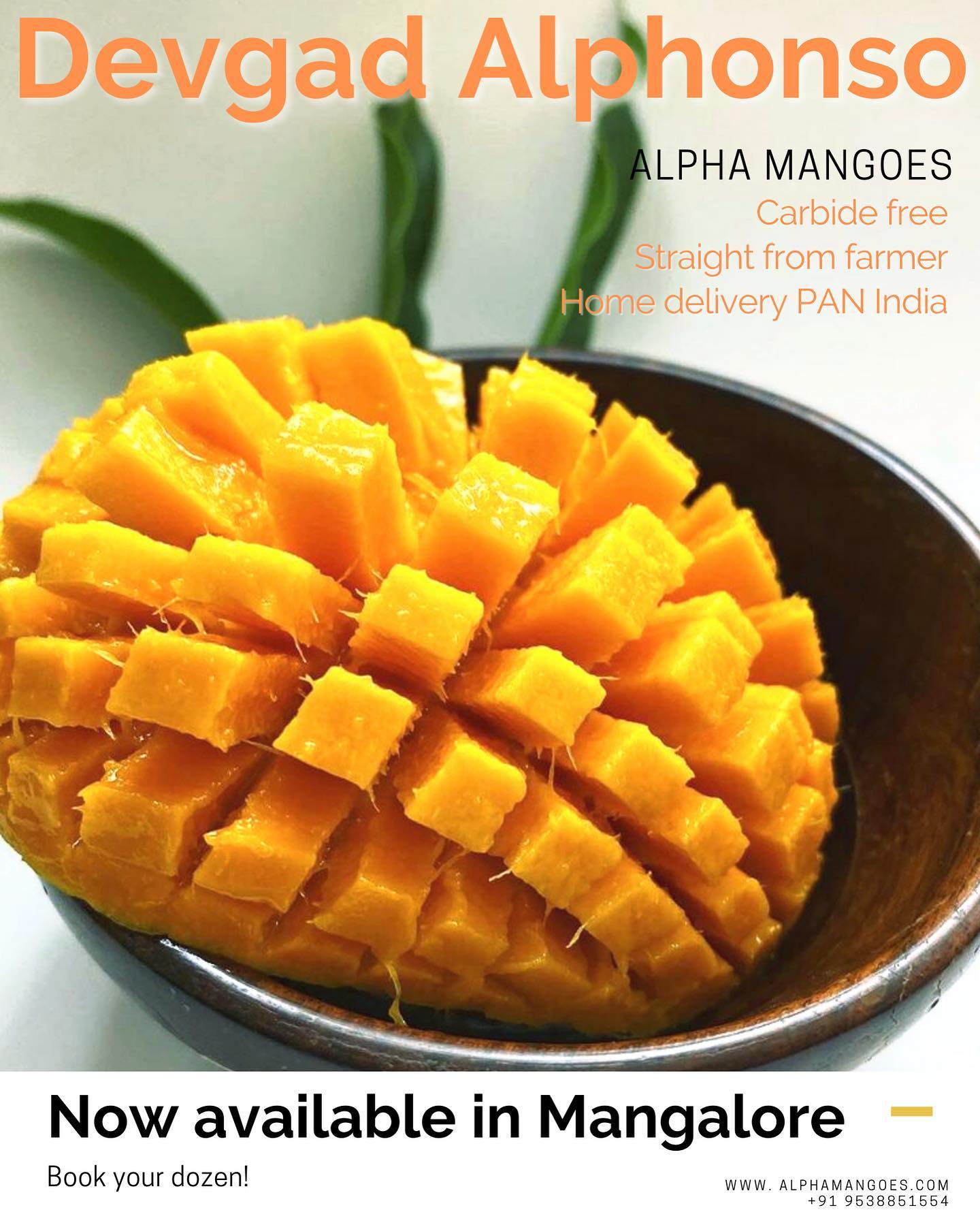 Available for Mangalore delivery !
Book your dozen now so that we can get it fresh from farm and to your doorstep.
#mangalore #karnataka #udupi #bangalore #mysore #kudla #kannada #mandya #india #tulunad #hubli #tulunada #hassan #kerala #sandalwood #bengaluru #tumkur #tulunadu #nammakudla #dharwad #chitradurga #mysuru #photography #instagram #madikeri #kannadamusically #tulu #mumbai #mango #devgad