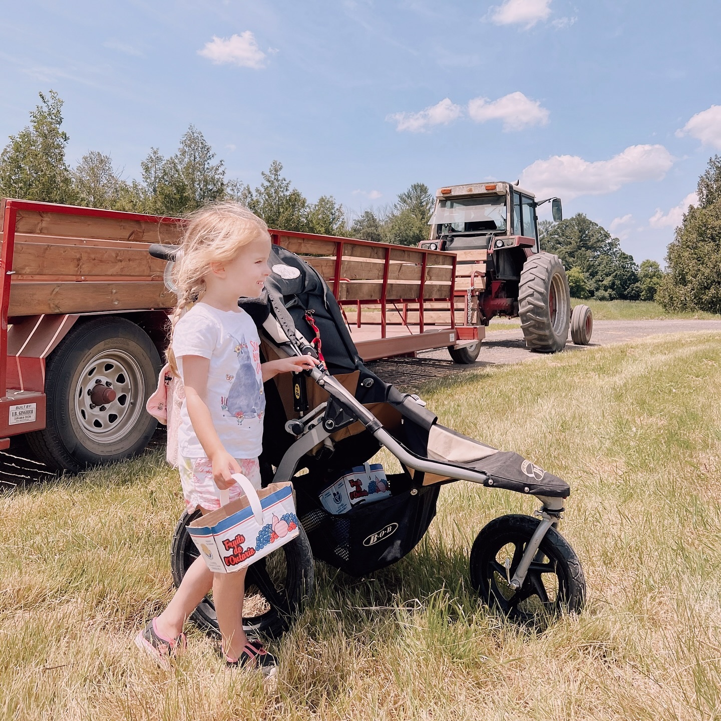 Filling sunny days with farm activities. #homegrowntomatoes #daysonthefarm #berrypicking #wagonrides #farmactivities #childcare #nanny #nannyshare #daycare #torontobeachesdaycare #homedaycare