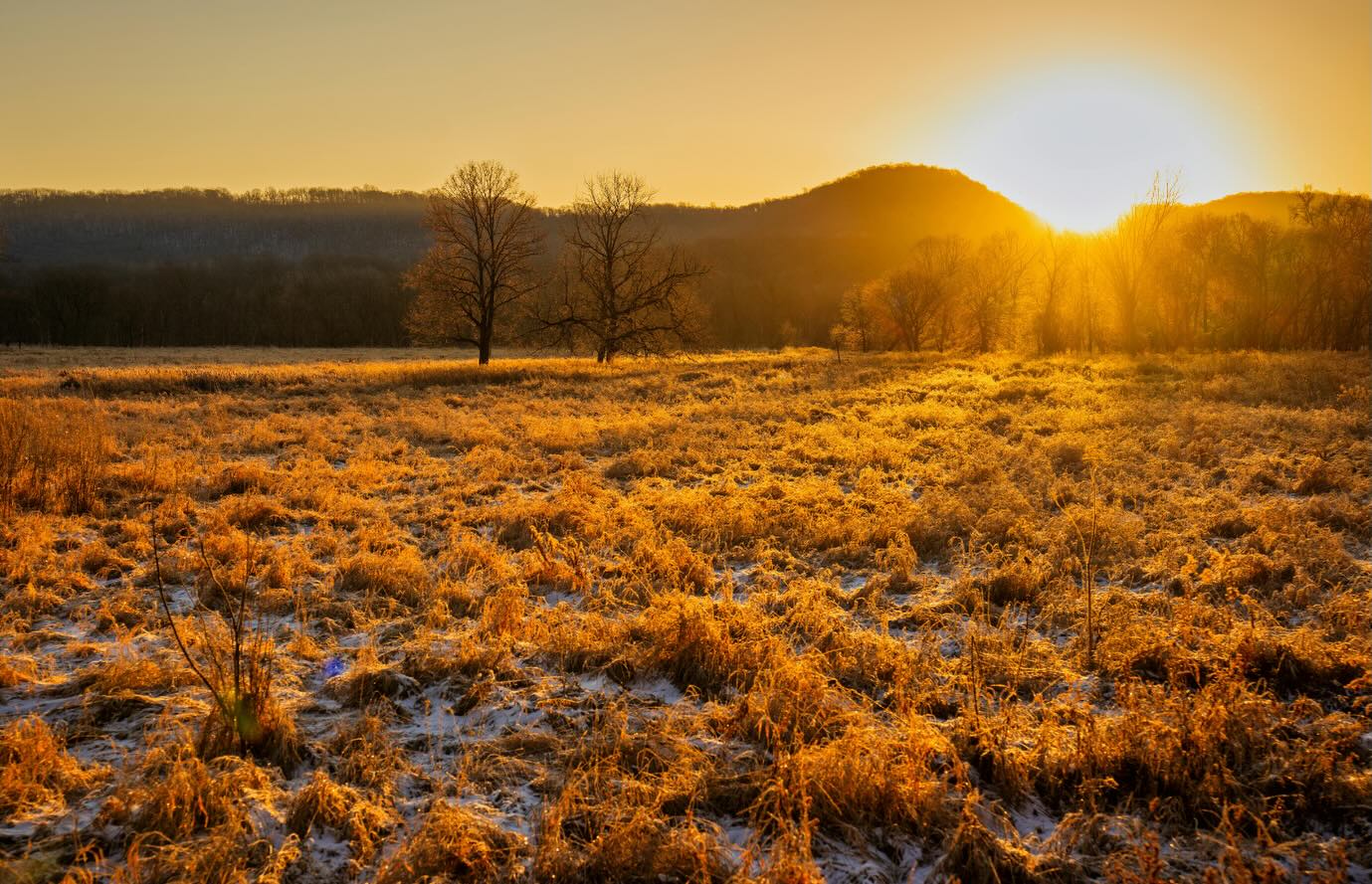 “Every January sunset writes a poem about hope on the winter sky.” – Emily Dickinson
#QuoteOfTheDay #SafeSoilUK #EmilyDickinson #JanuarySunset #january