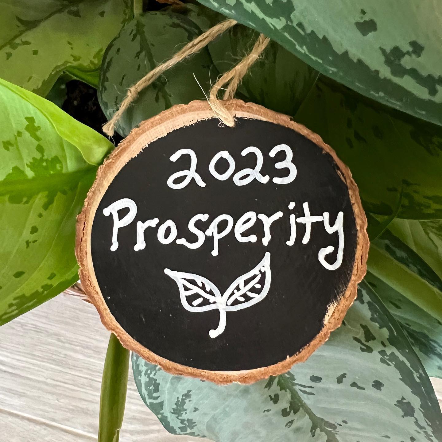 Prosperity - my #oneword intention for 2023 🌱❤️ Planting seeds of intention on this beautiful winter solstice and making space to receive all of the prosperity and abundance in the New Year 🤩 Not just the financial aspect but to prosper and thrive in all aspects of my life – emotionally, physically, spiritually, socially and mentally 💫
My mantra for the new year: “I align with my highest source of prosperity consciousness, and I manifest the reality I most desire.” ♥️
What’s your #oneword intention for 2023?
#oneword2023 #intentionsetting #properityandabundance #2023goals #liveyourbestlife #newbeginnings #reikienergy #reikimaster #flreiki #onlinereiki #distantreiki