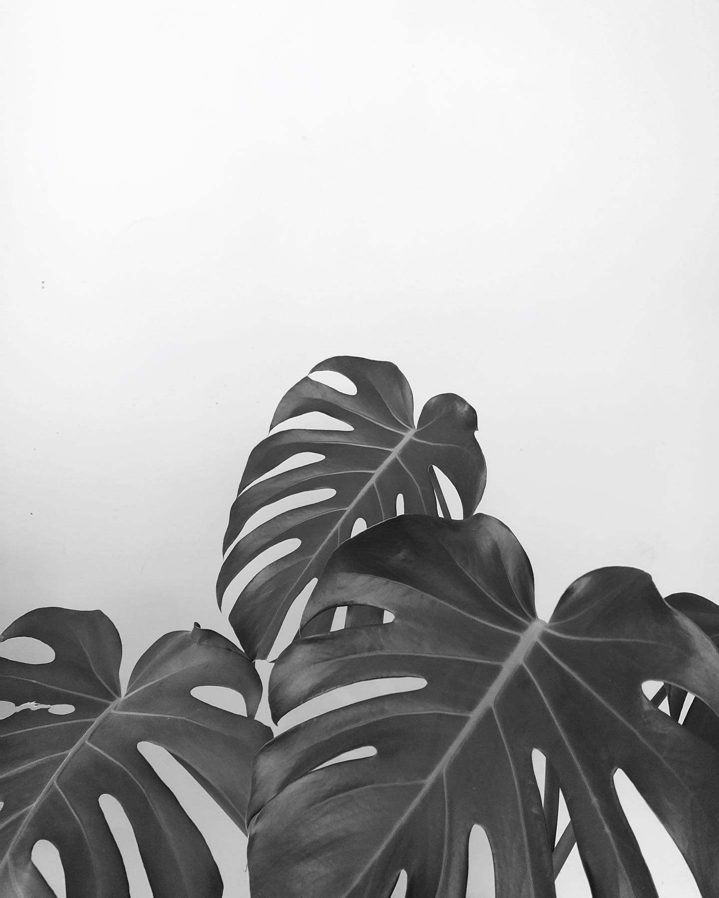 One of my favourite things in the world is when you’re conversing with someone, and you realise you’re on a similar wave length. Is there anything better than this? The reciprocated interest, and the soul enriching conversations that could go on for days (regardless of your backgrounds, views, and experiences). Clearly missing my friends and face-to-face convos 🙃