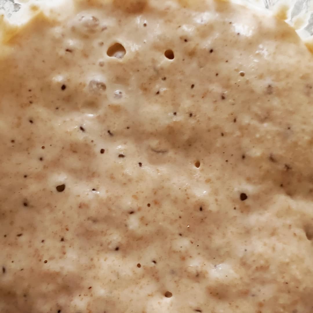 This is the basis of everything I make. Just flour, water, time and the natural environment around us. When the ingredients are this simple I choose to use the best ones I can find.
Pre-order for @brooksidefarmersmarket will open tonight 3/16. If past markets are any future indicator you had better jump in or risk another sellout.
#organicbread #organicflour #naturallyleavenedbread #sourdough #sourdoughbread #slowfood #realbread #kansascityfood #eatlocal