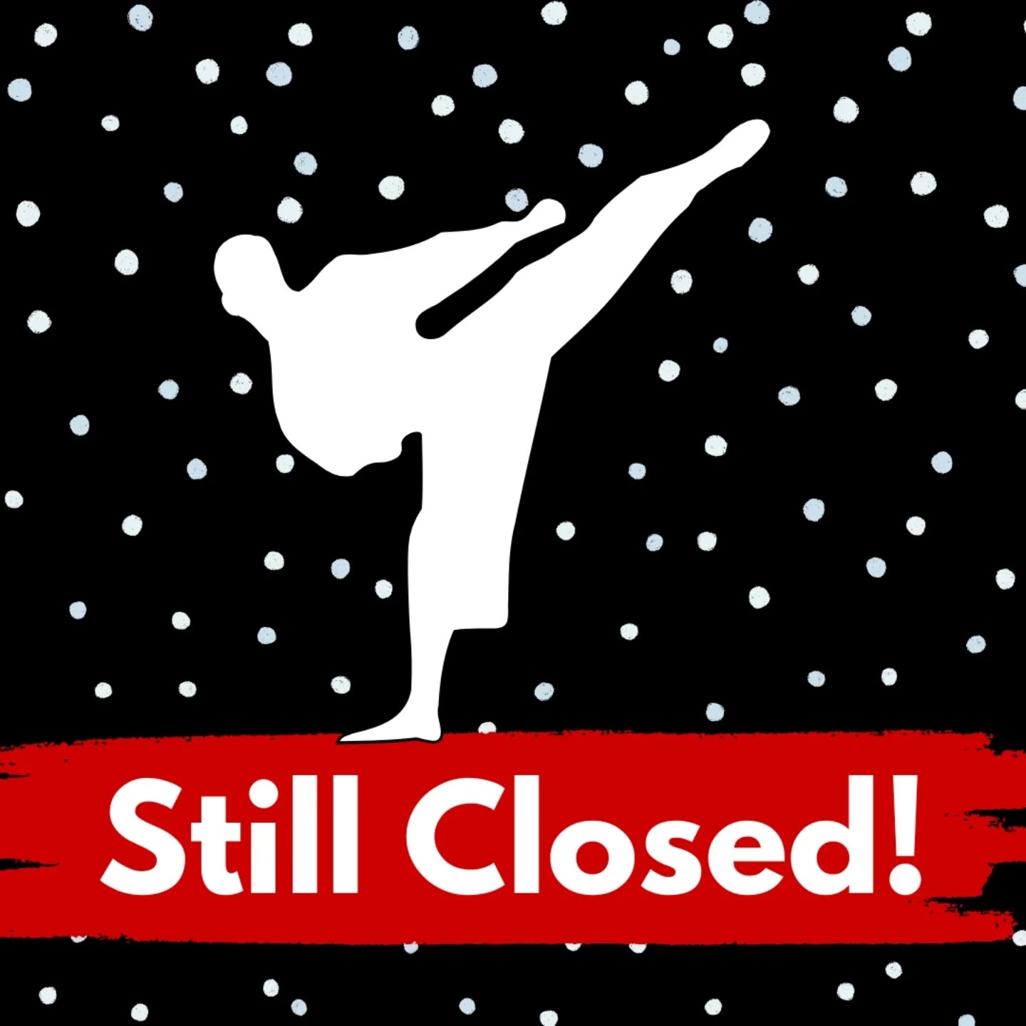 Hey karate gang!
We are still closed from the snow - hoping to be back at it tomorrow!!