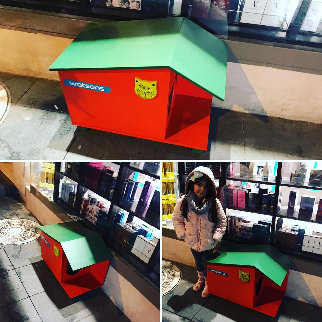 Sokaktaki yaşamlara duyarlı firmalar ♥️🙏🏻🐱🐶🐈🐾 @watsonsturkiye #pododesignsforpets #podosizvepatilidostlarınızicintasarimlar #pisiminikedievi #ekolojiktasarım #kedievi #cats #catlove #catlovers #hayvandostları