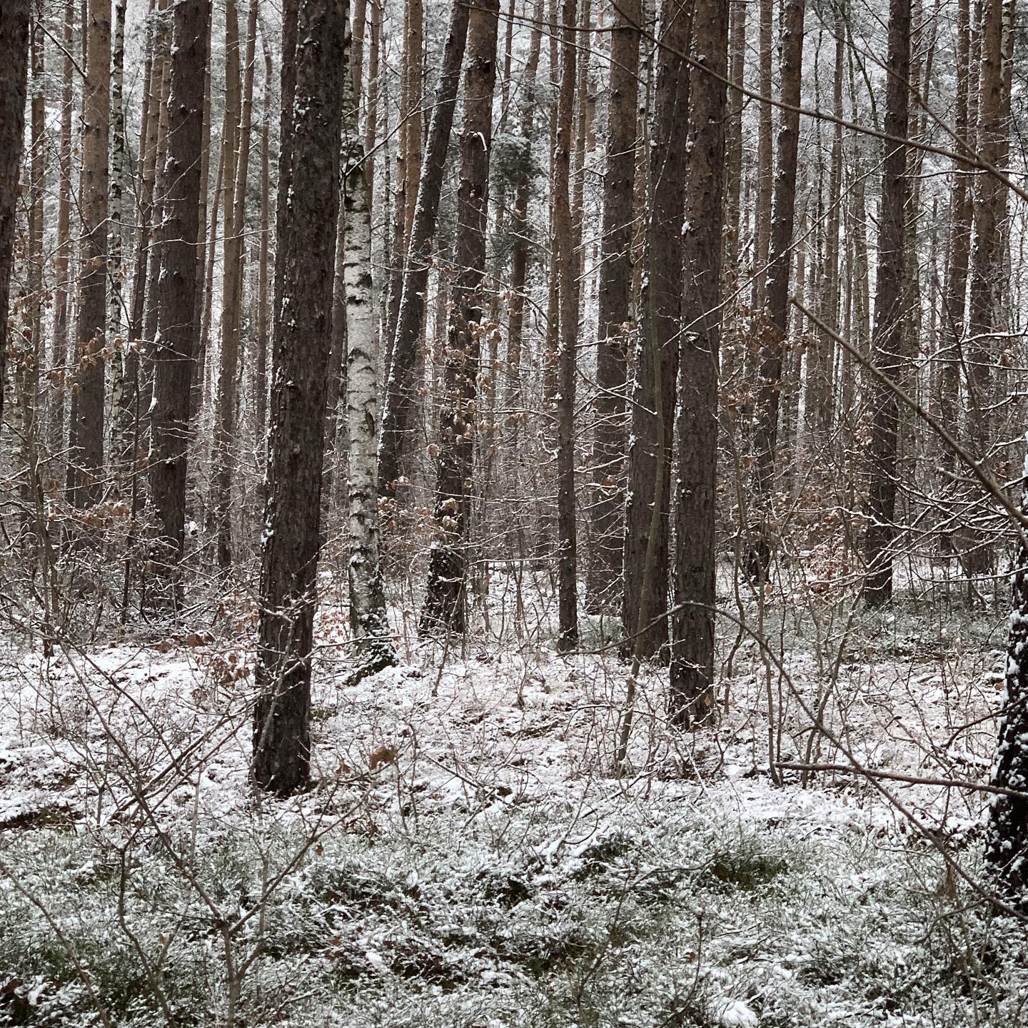 Winterstimmung auf dem Heller.