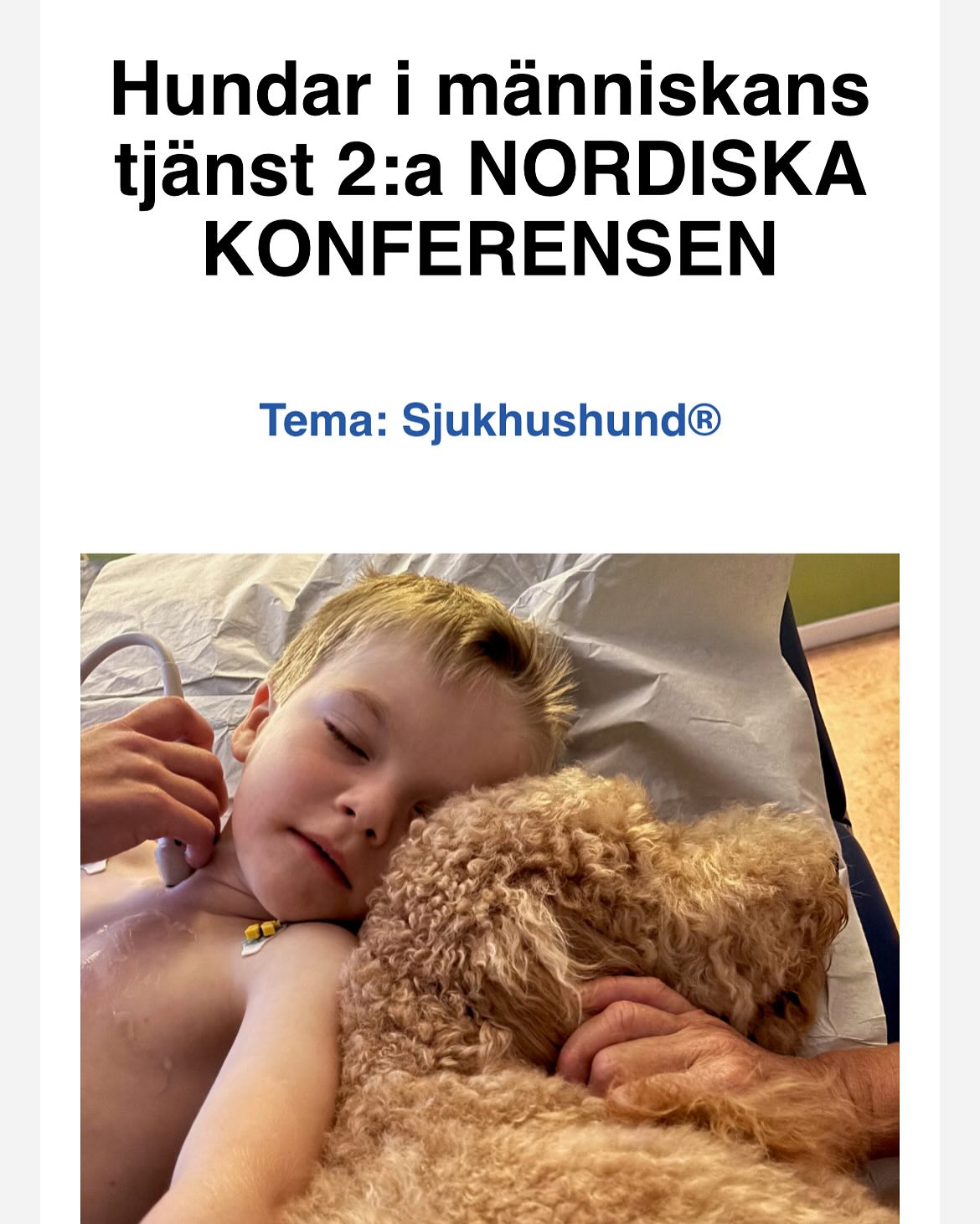 Sjukhushund®-konferens den 17/3 2026! Anmäl nu! Se bio eller sjukhushund.se👍 #sjukhushund #konferens #svenska #läkare #sällskapet #stockholm #sverige #norden