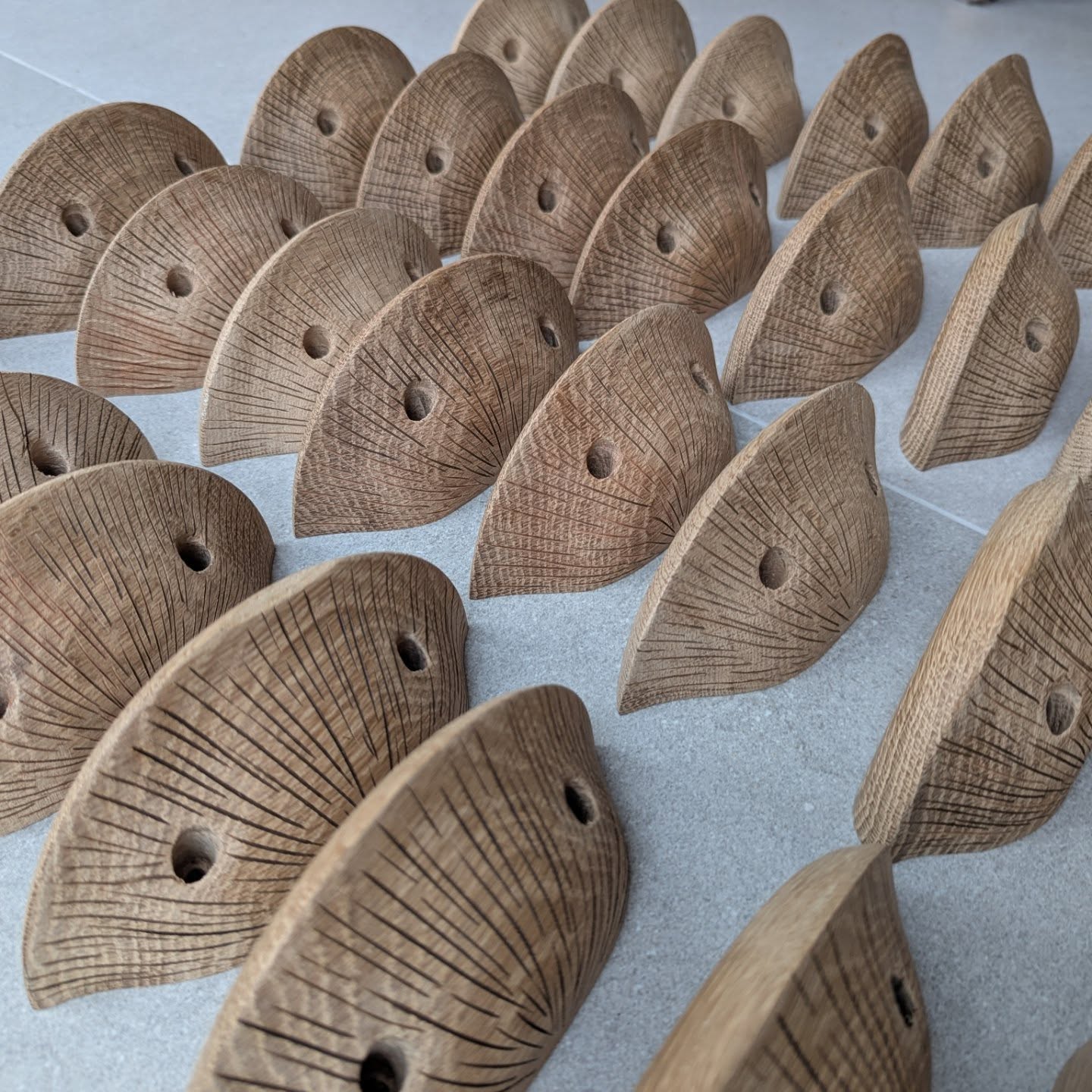 Climbing holds shaped like bracket fungi? Of course! Soon to be installed in an adventure playground in a Stately home near you... I always enjoy these whacky jobs #climbing #adventureplayground #oak #funghi