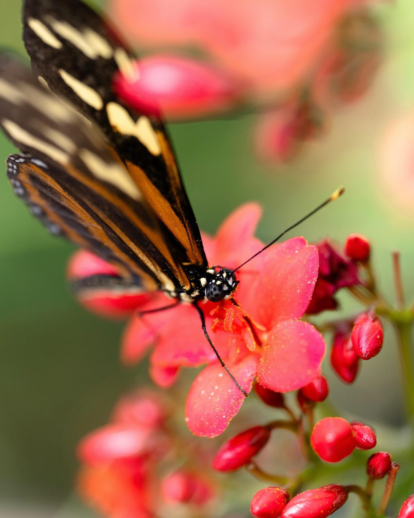 Happy Spring!