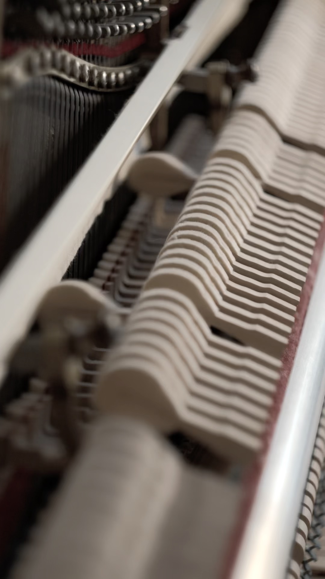 best with headphones on ;)
#parabola #praam #calm #piano #pianist #satisfy
🎥@bimtenschop