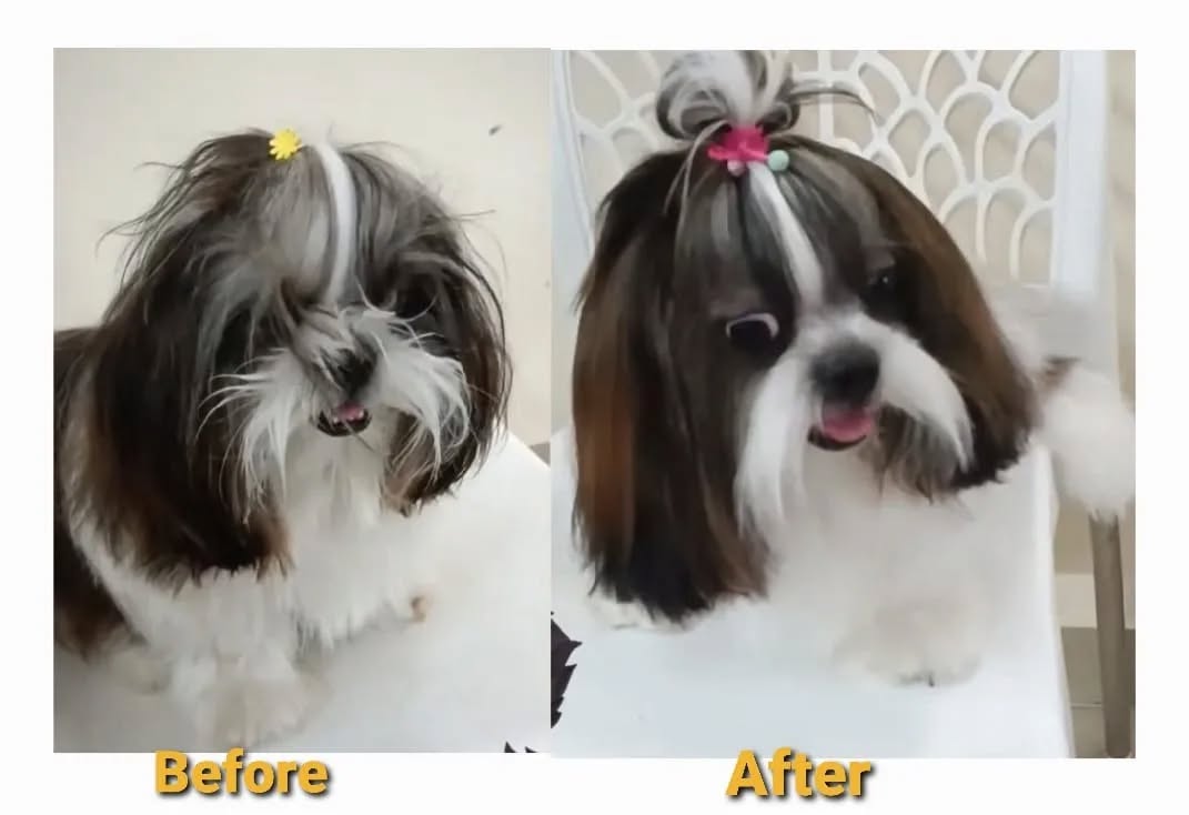 👌🏻👌🏻👌🏻👌🏻👌🏻👌🏻👌🏻👌🏻